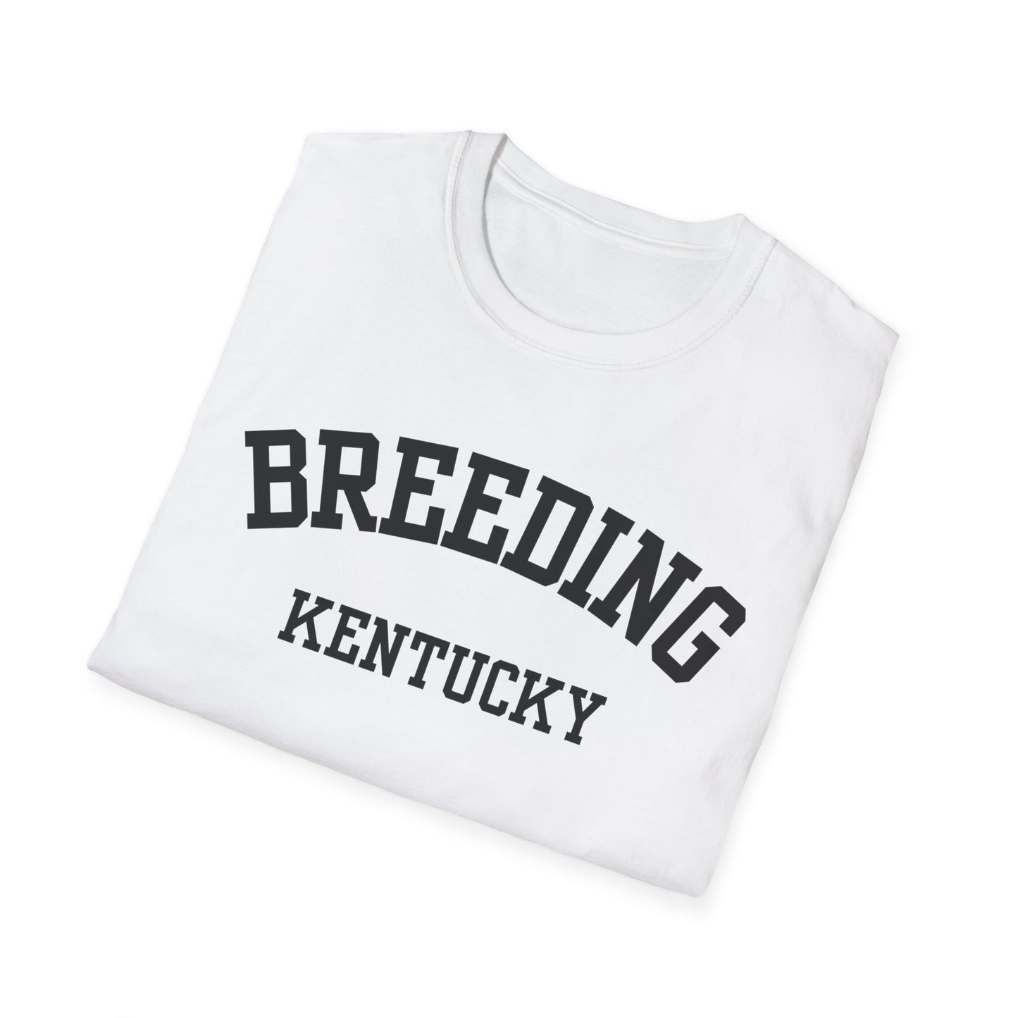 Breeding Funny City Name T-Shirt ironic tee gag gift tee small town gift novelty t-shirt quirky place tee hometown humor travel gift tee