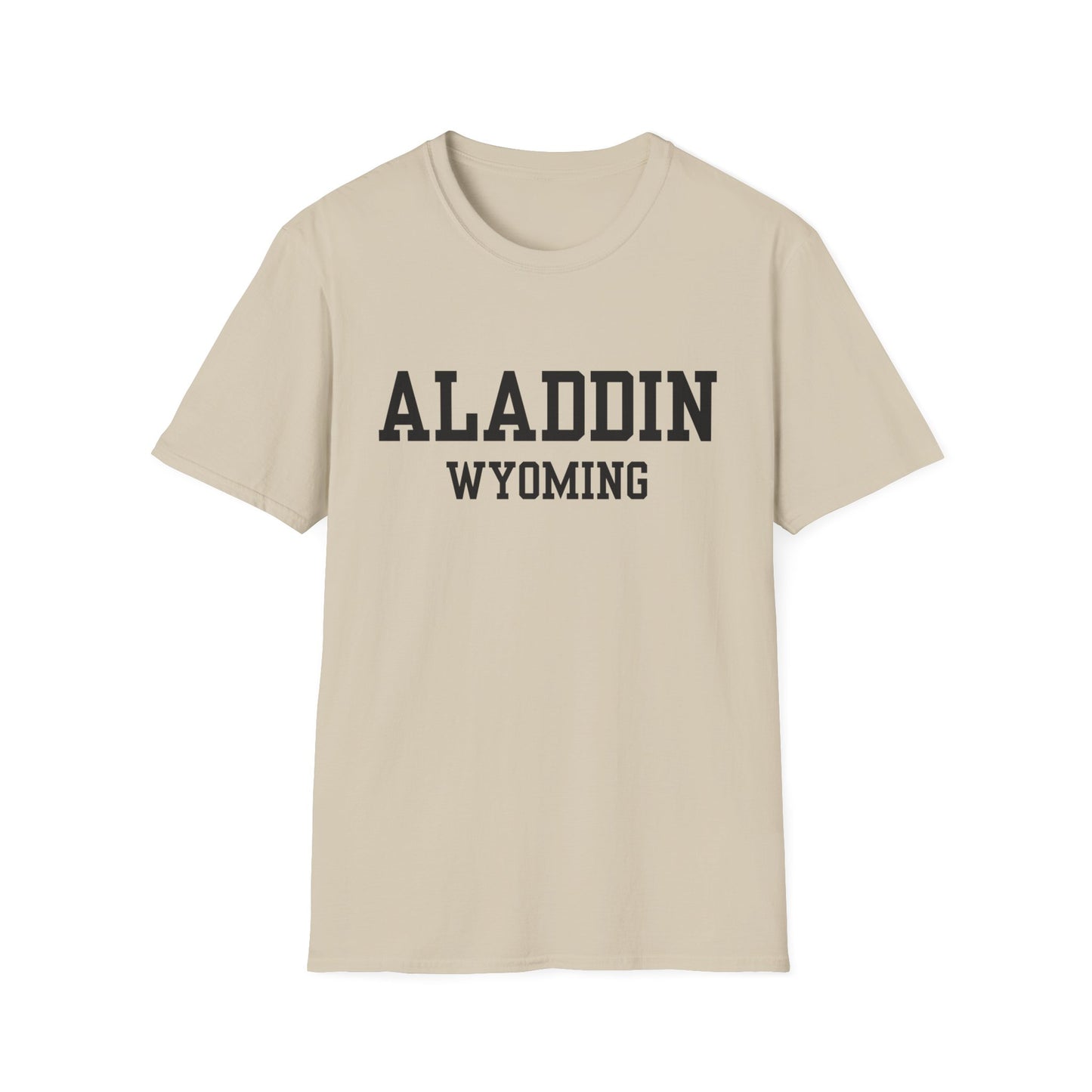 Aladdin Funny City Name T-Shirt gift for travelers unisex funny shirt novelty t-shirt for adults road trip souvenir shirt quirky town shirt
