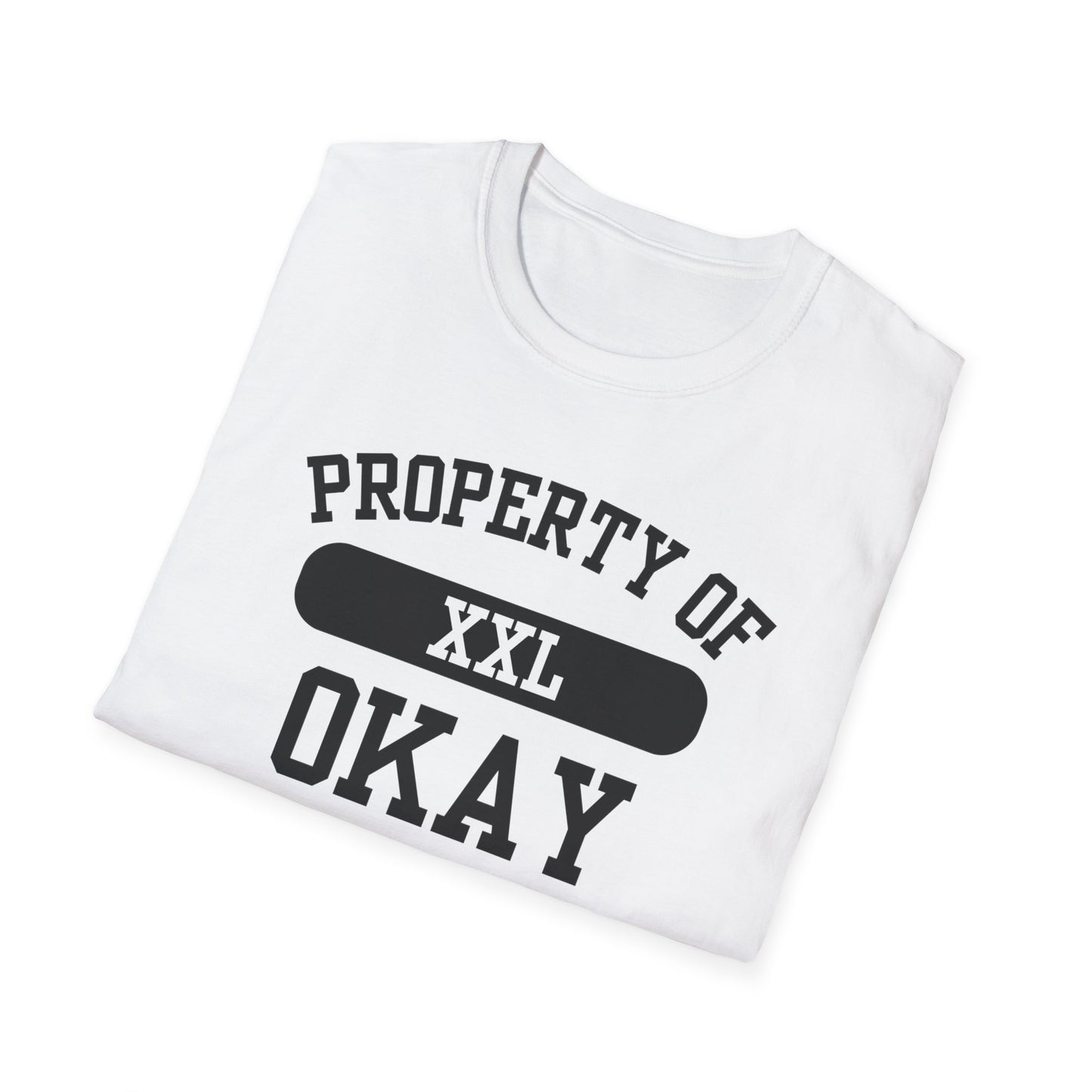 Okay Funny City Name T-Shirt unisex funny shirt sarcastic graphic tee road trip souvenir shirt retro city name shirt funny city name shirt