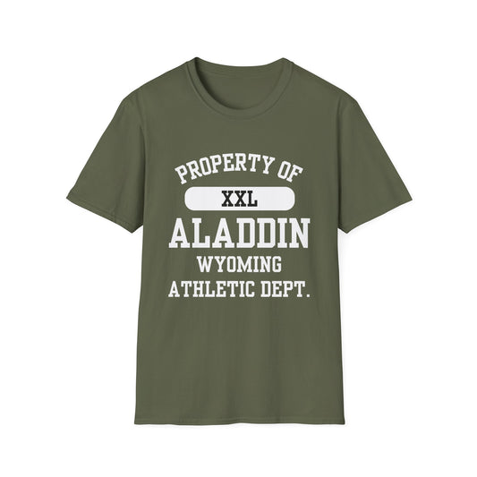 Aladdin Funny City Name T-Shirt ironic tee silly town tee quirky place tee sarcastic shirt travel gift tee funny city name custom city tee