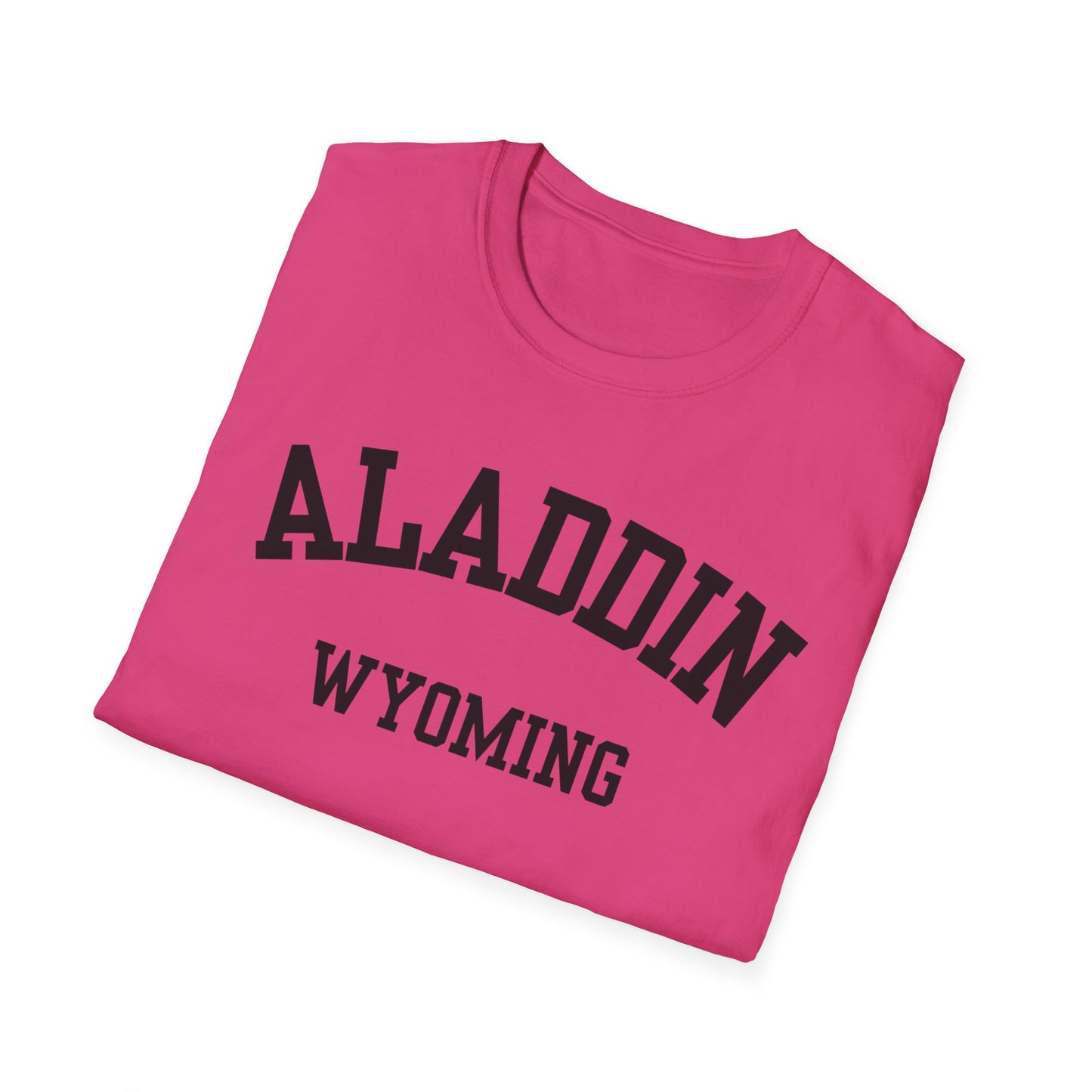 Aladdin Funny City Name T-Shirt custom city t-shirt sarcastic graphic tee novelty t-shirt for adults quirky town shirt unisex funny shirt
