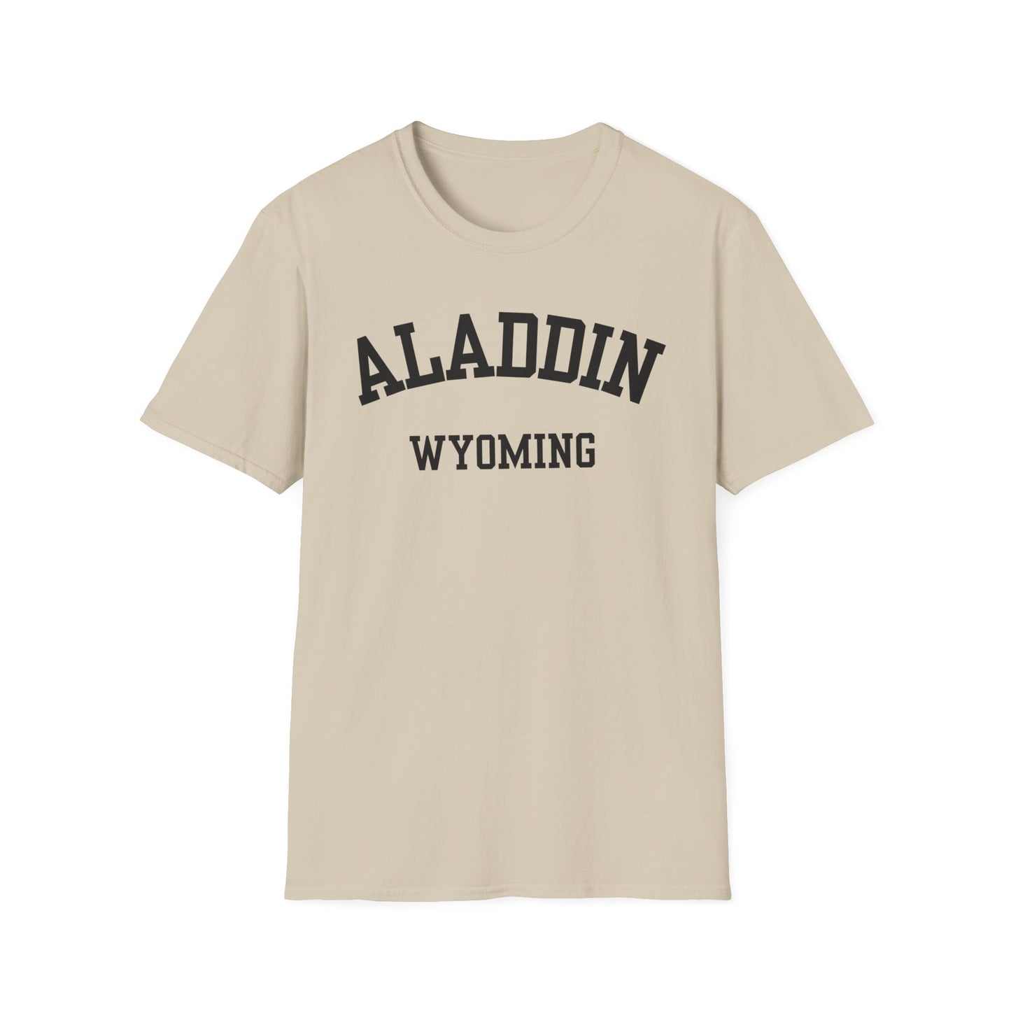 Aladdin Funny City Name T-Shirt custom city t-shirt sarcastic graphic tee novelty t-shirt for adults quirky town shirt unisex funny shirt