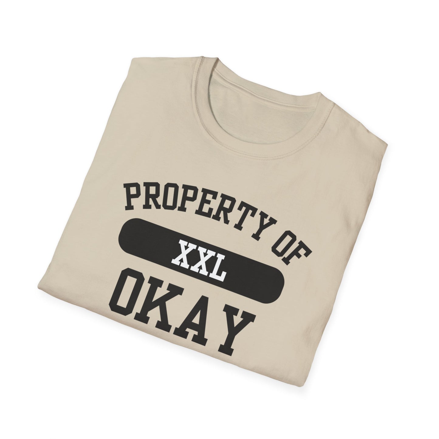 Okay Funny City Name T-Shirt unisex funny shirt sarcastic graphic tee road trip souvenir shirt retro city name shirt funny city name shirt