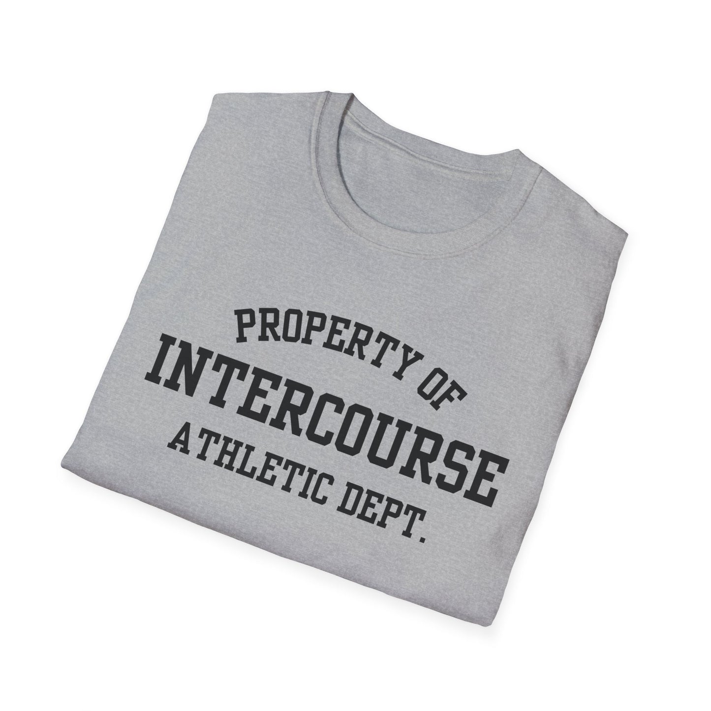 Intercourse Funny City Name T-Shirt sarcastic graphic tee hometown pride shirt retro city name shirt quirky town shirt gift for travelers