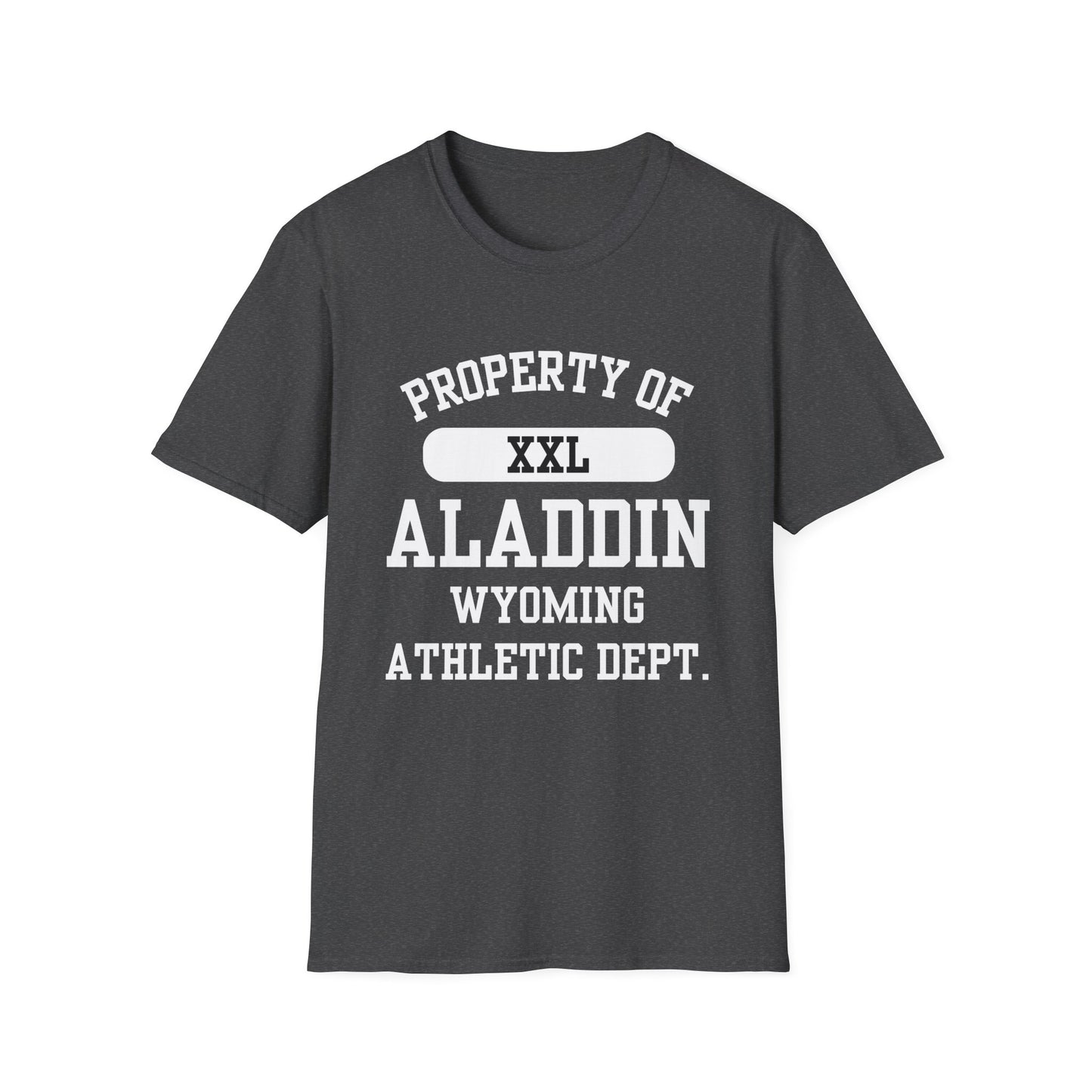 Aladdin Funny City Name T-Shirt ironic tee silly town tee quirky place tee sarcastic shirt travel gift tee funny city name custom city tee