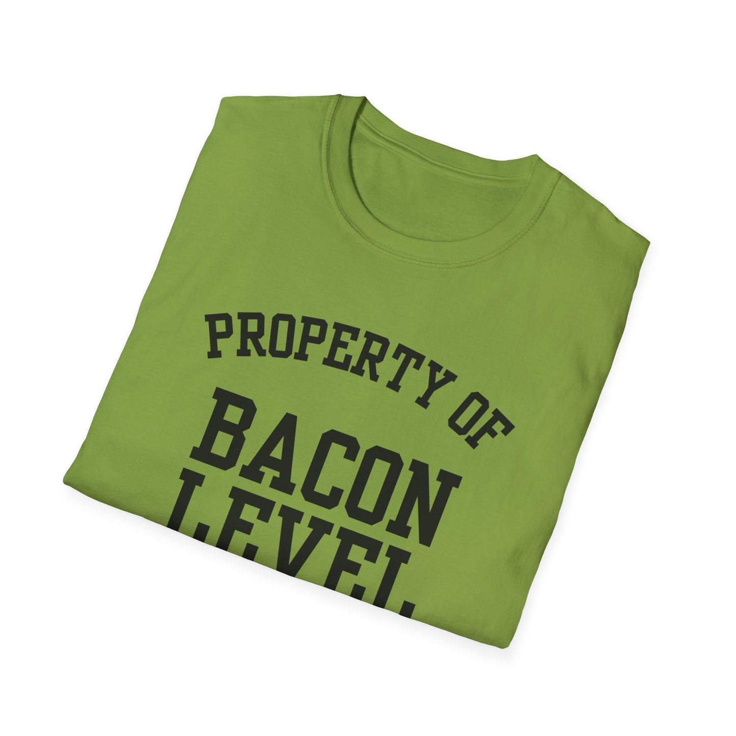 Bacon Level Funny City Name T-Shirt road trip souvenir shirt sarcastic graphic tee gift for travelers quirky town shirt custom city t-shirt