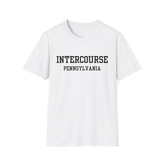 Intercourse Funny City Name T-Shirt gift for travelers unisex funny shirt hometown pride shirt retro city name shirt sarcastic graphic tee