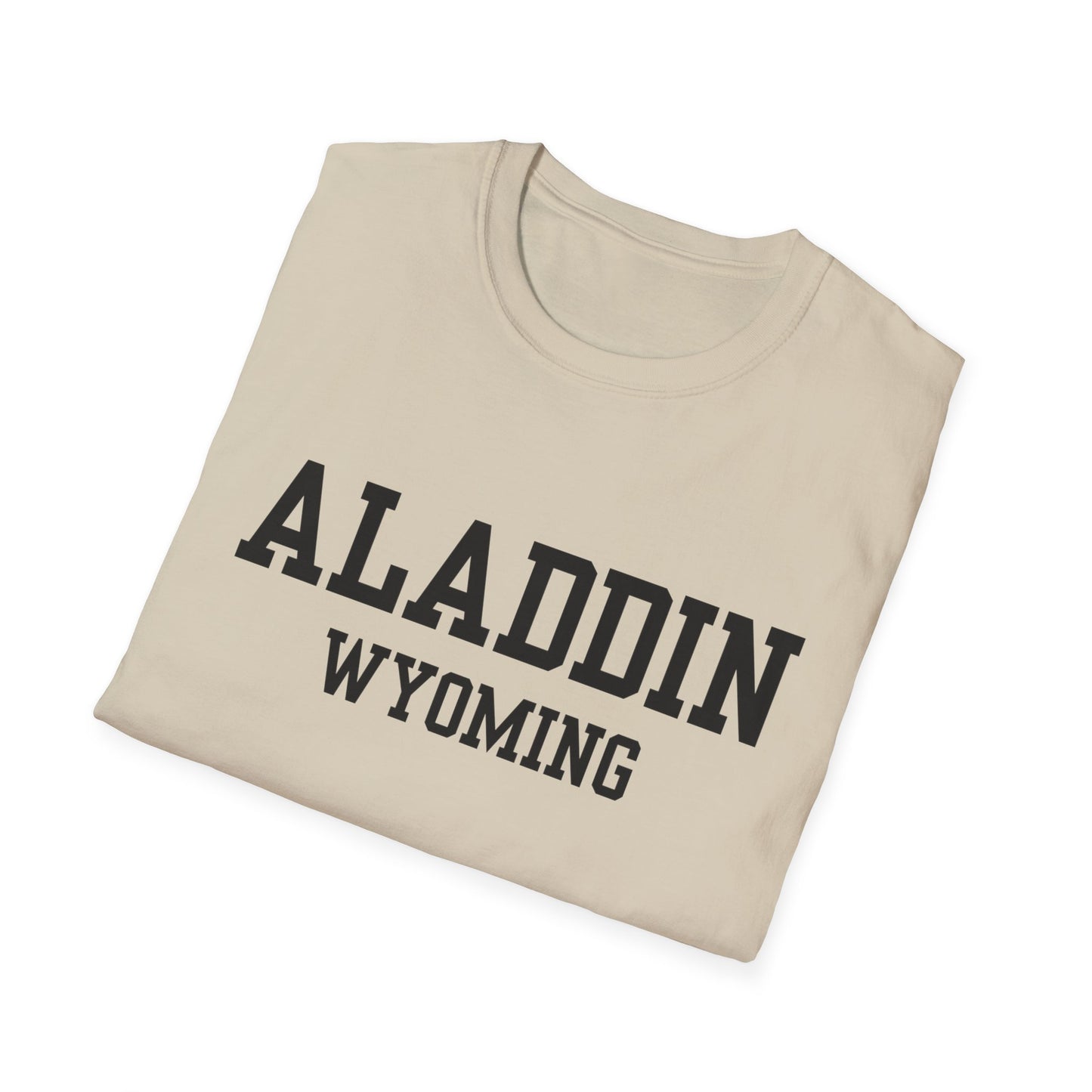 Aladdin Funny City Name T-Shirt gift for travelers unisex funny shirt novelty t-shirt for adults road trip souvenir shirt quirky town shirt