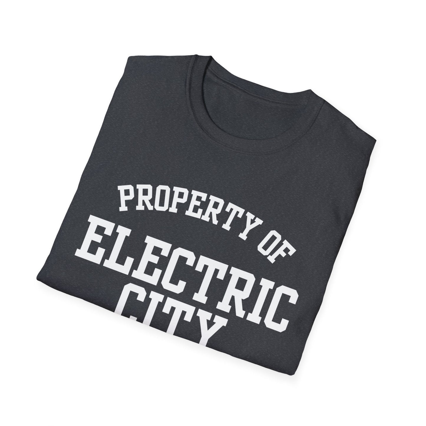 Electric City Funny City Name T-Shirt local pride tee travel gift tee silly town tee small town gift ironic tee custom city tee funny city name