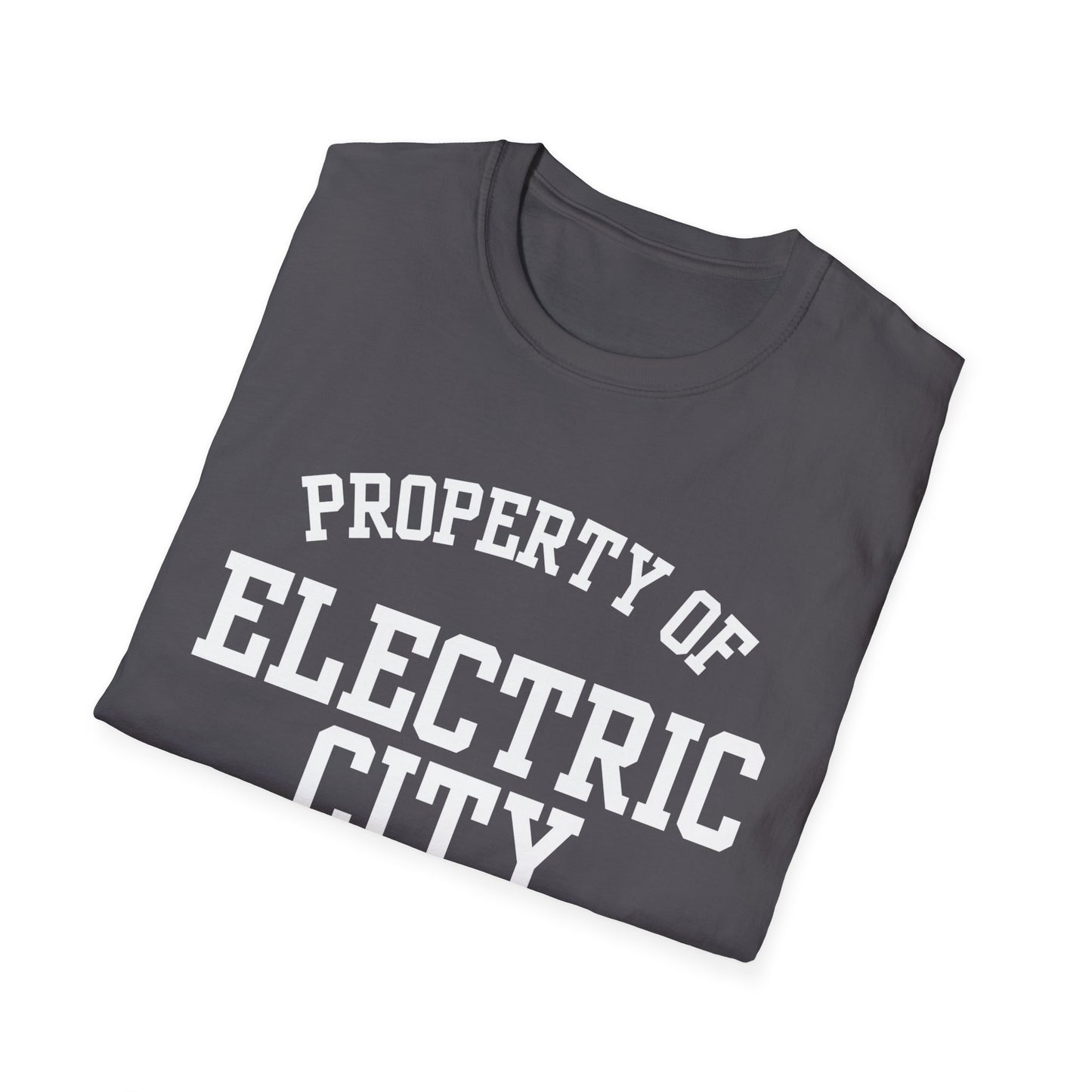 Electric City Funny City Name T-Shirt local pride tee travel gift tee silly town tee small town gift ironic tee custom city tee funny city name