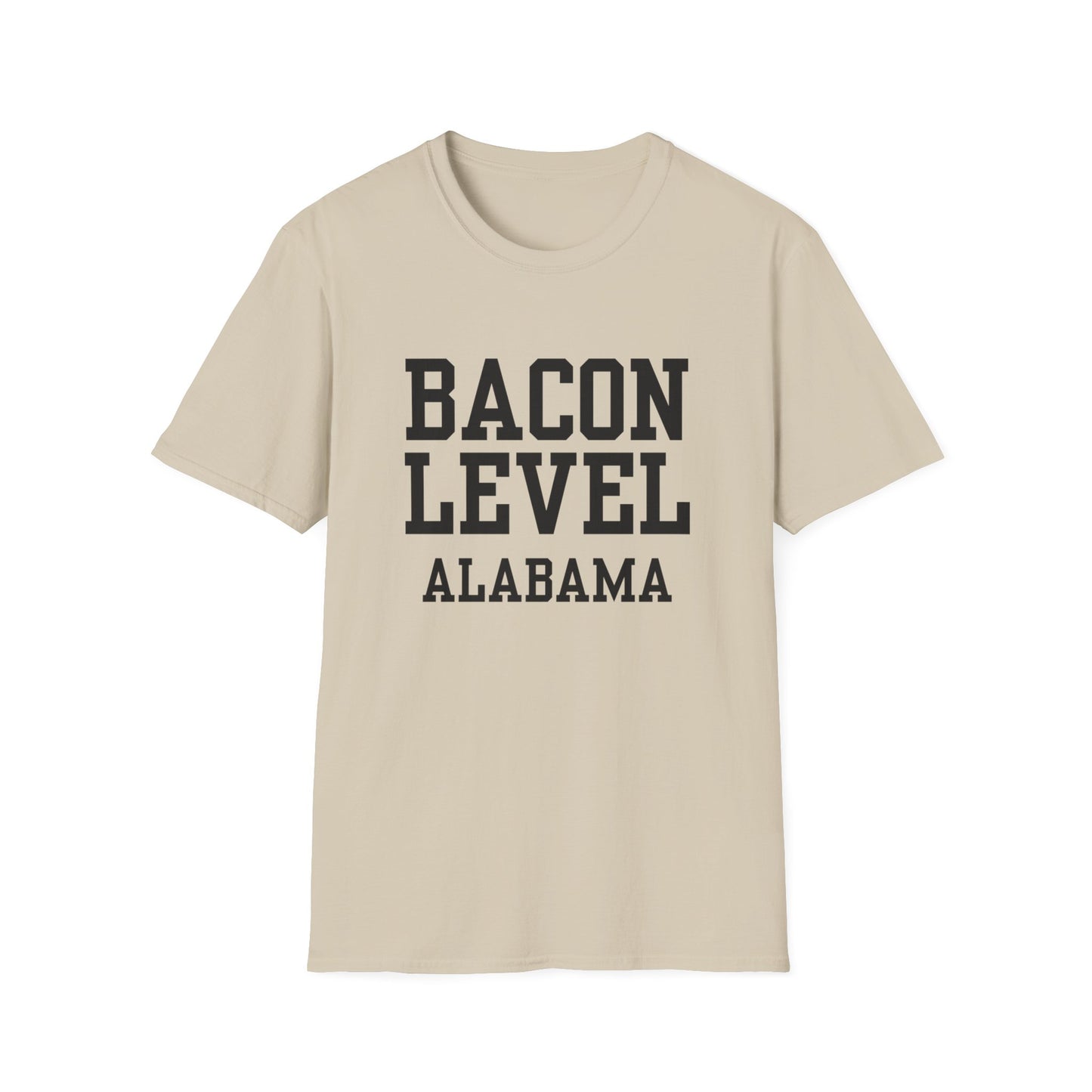 Bacon Level Funny City Name T-Shirt city shirt hometown pride shirt novelty tshirt for adult road trip souvenir shirt custom city tshirt