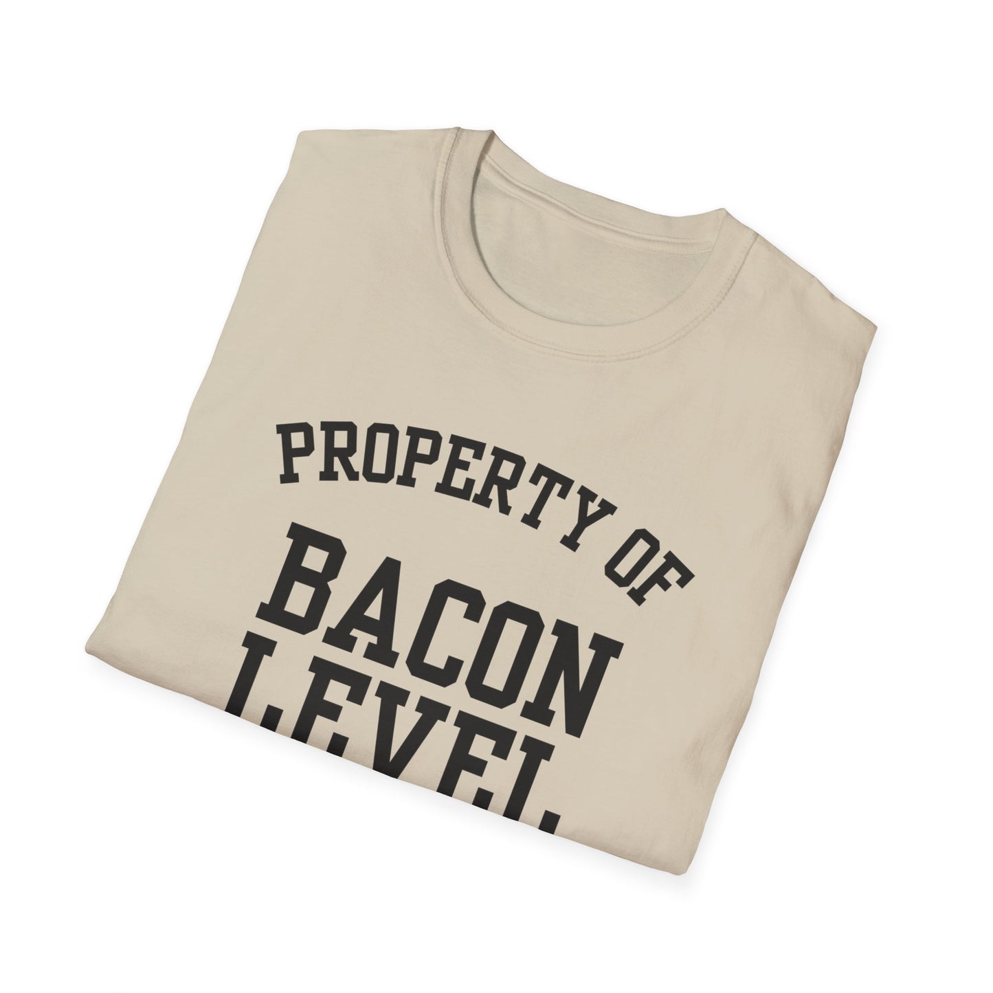 Bacon Level Funny City Name T-Shirt road trip souvenir shirt sarcastic graphic tee gift for travelers quirky town shirt custom city t-shirt