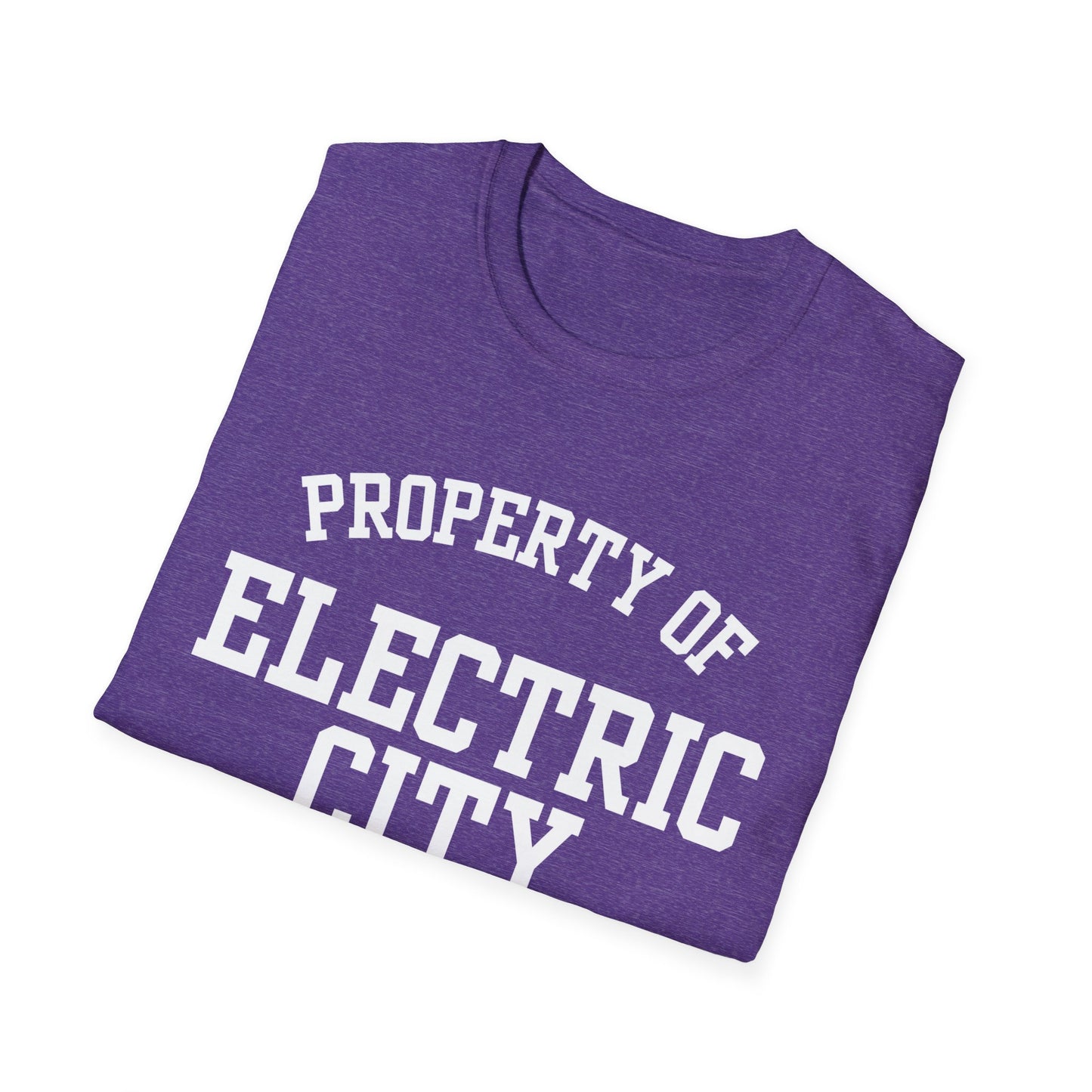 Electric City Funny City Name T-Shirt local pride tee travel gift tee silly town tee small town gift ironic tee custom city tee funny city name