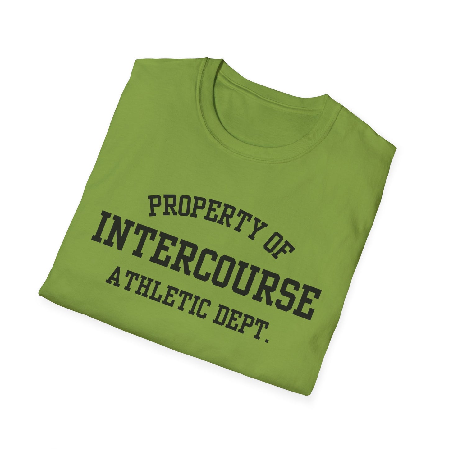 Intercourse Funny City Name T-Shirt sarcastic graphic tee hometown pride shirt retro city name shirt quirky town shirt gift for travelers