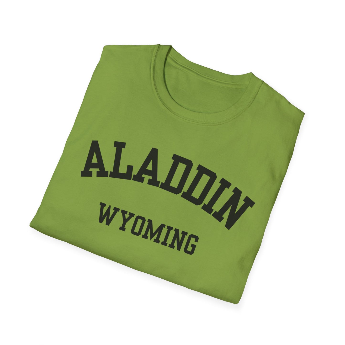 Aladdin Funny City Name T-Shirt custom city t-shirt sarcastic graphic tee novelty t-shirt for adults quirky town shirt unisex funny shirt