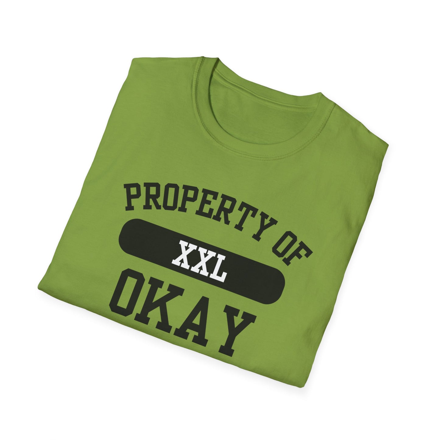 Okay Funny City Name T-Shirt unisex funny shirt sarcastic graphic tee road trip souvenir shirt retro city name shirt funny city name shirt