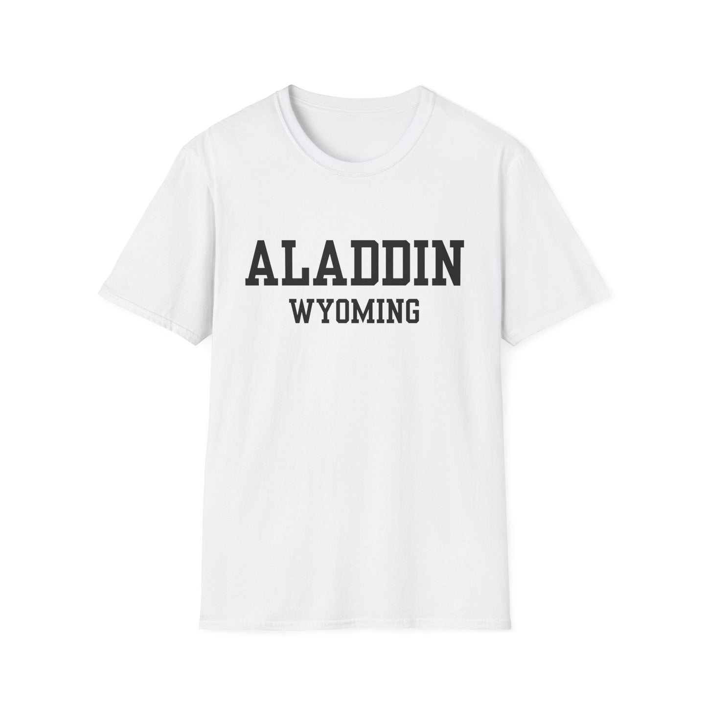Aladdin Funny City Name T-Shirt gift for travelers unisex funny shirt novelty t-shirt for adults road trip souvenir shirt quirky town shirt