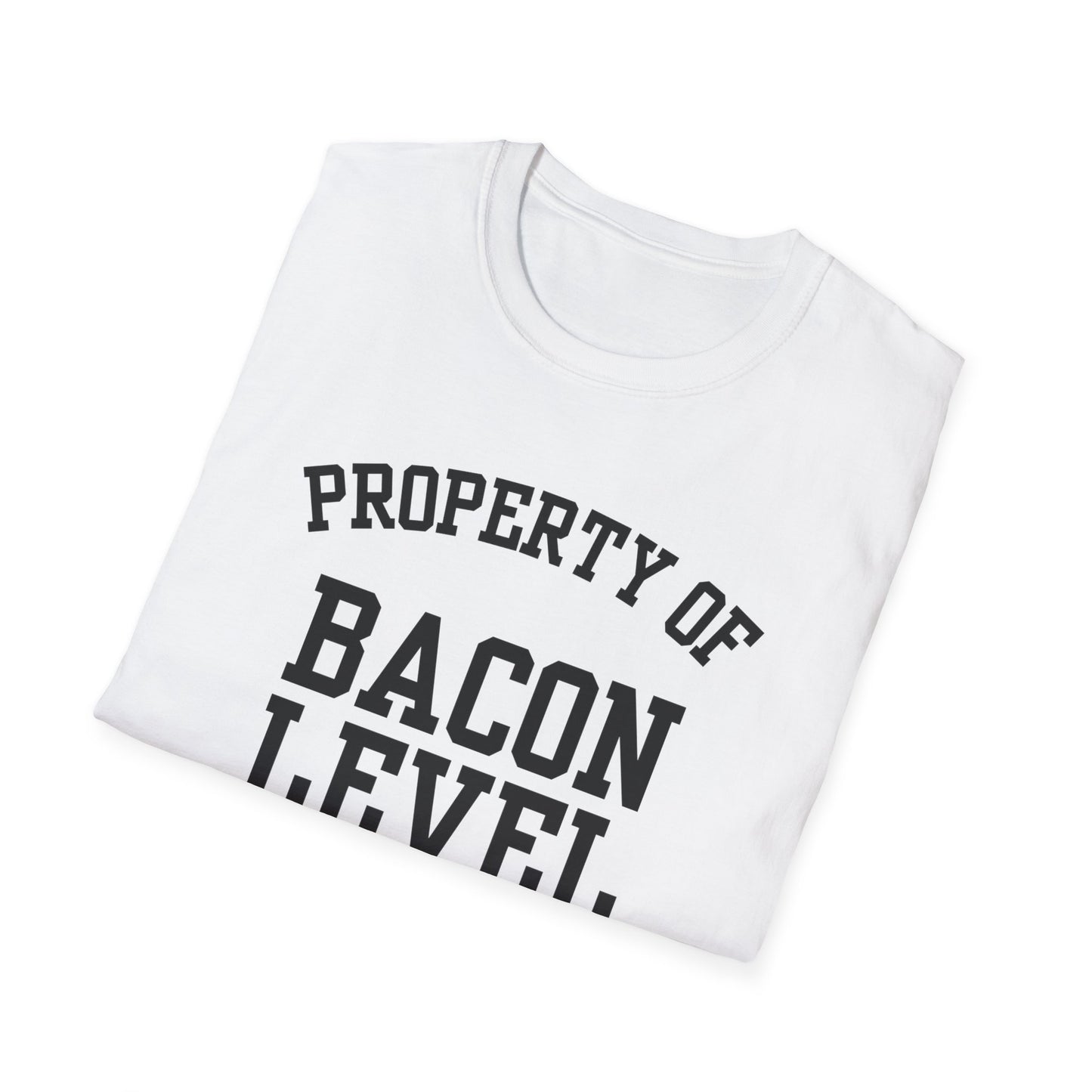 Bacon Level Funny City Name T-Shirt road trip souvenir shirt sarcastic graphic tee gift for travelers quirky town shirt custom city t-shirt