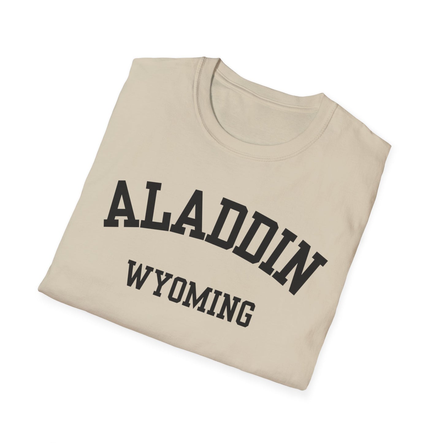 Aladdin Funny City Name T-Shirt custom city t-shirt sarcastic graphic tee novelty t-shirt for adults quirky town shirt unisex funny shirt