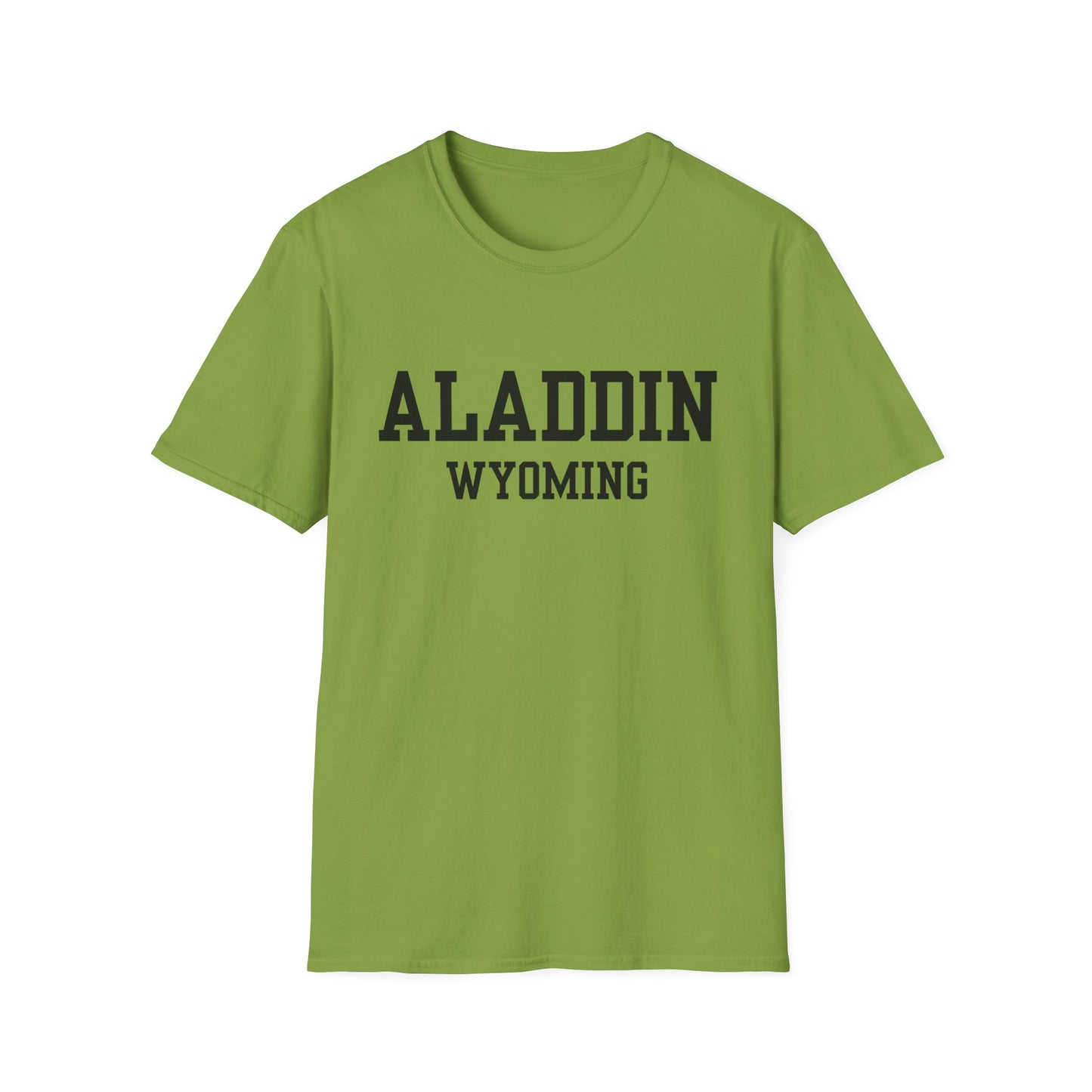 Aladdin Funny City Name T-Shirt gift for travelers unisex funny shirt novelty t-shirt for adults road trip souvenir shirt quirky town shirt