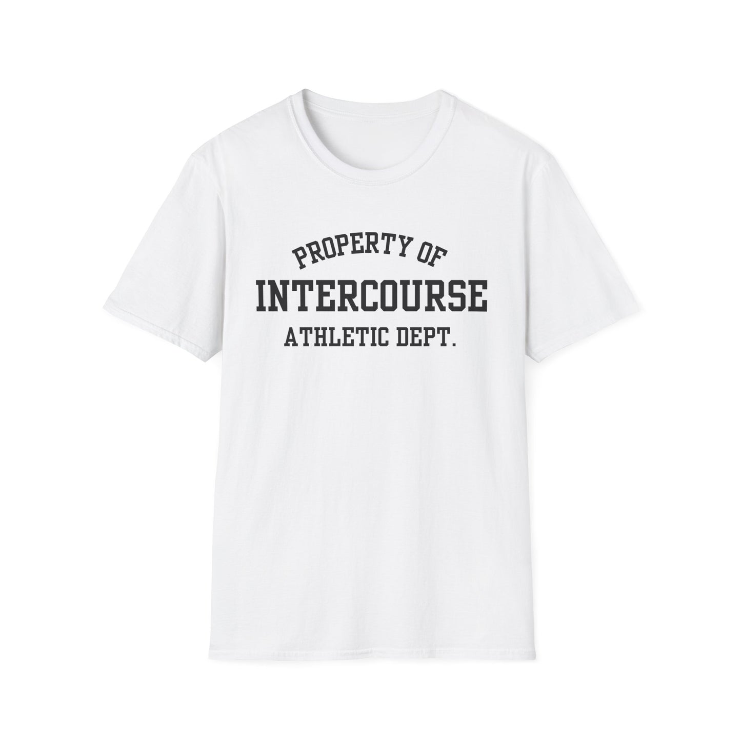 Intercourse Funny City Name T-Shirt sarcastic graphic tee hometown pride shirt retro city name shirt quirky town shirt gift for travelers