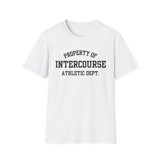 Intercourse Funny City Name T-Shirt sarcastic graphic tee hometown pride shirt retro city name shirt quirky town shirt gift for travelers