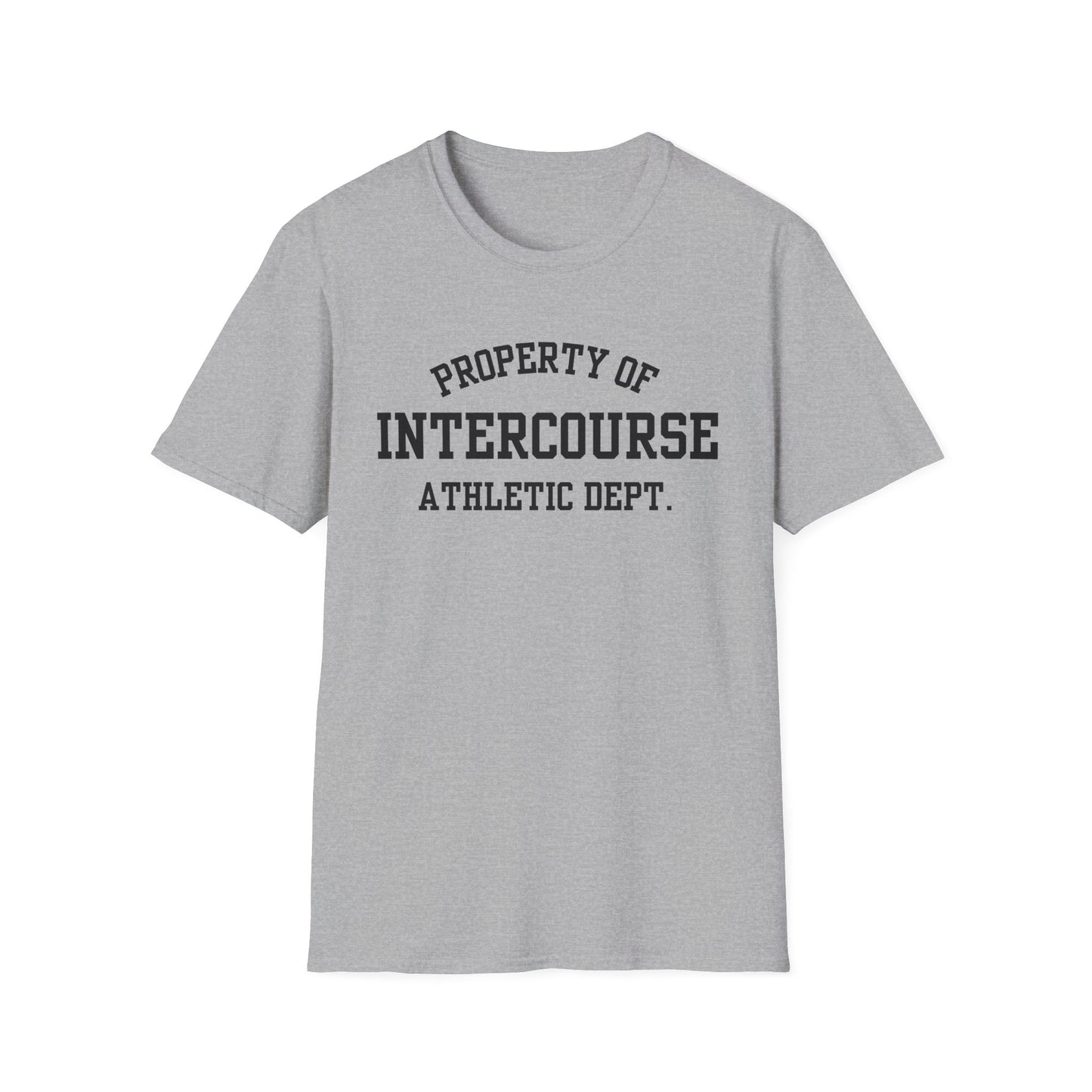 Intercourse Funny City Name T-Shirt sarcastic graphic tee hometown pride shirt retro city name shirt quirky town shirt gift for travelers