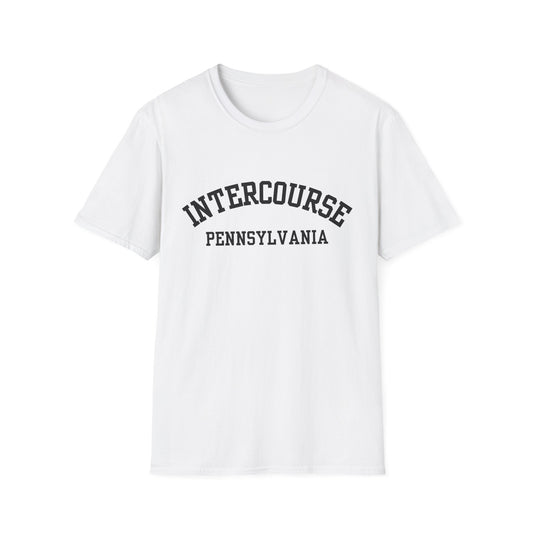 Intercourse Funny City Name T-Shirt novelty t-shirt for adults gift for travelers quirky town shirt funny city name shirt hometown pride shirt