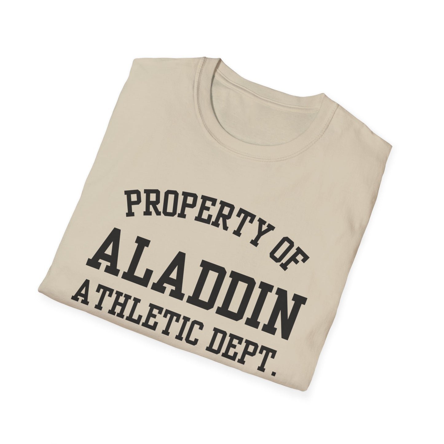 Aladdin Funny City Name T-Shirt funny city name shirt unisex funny shirt custom city t-shirt gift for travelers retro city name shirt
