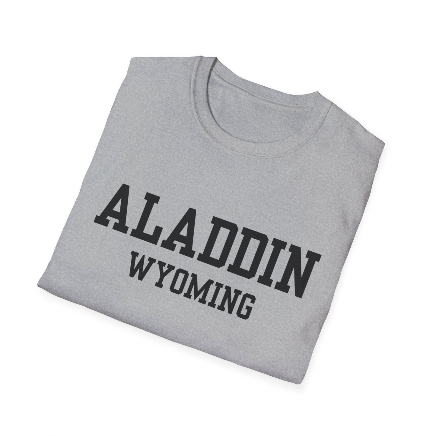 Aladdin Funny City Name T-Shirt gift for travelers unisex funny shirt novelty t-shirt for adults road trip souvenir shirt quirky town shirt