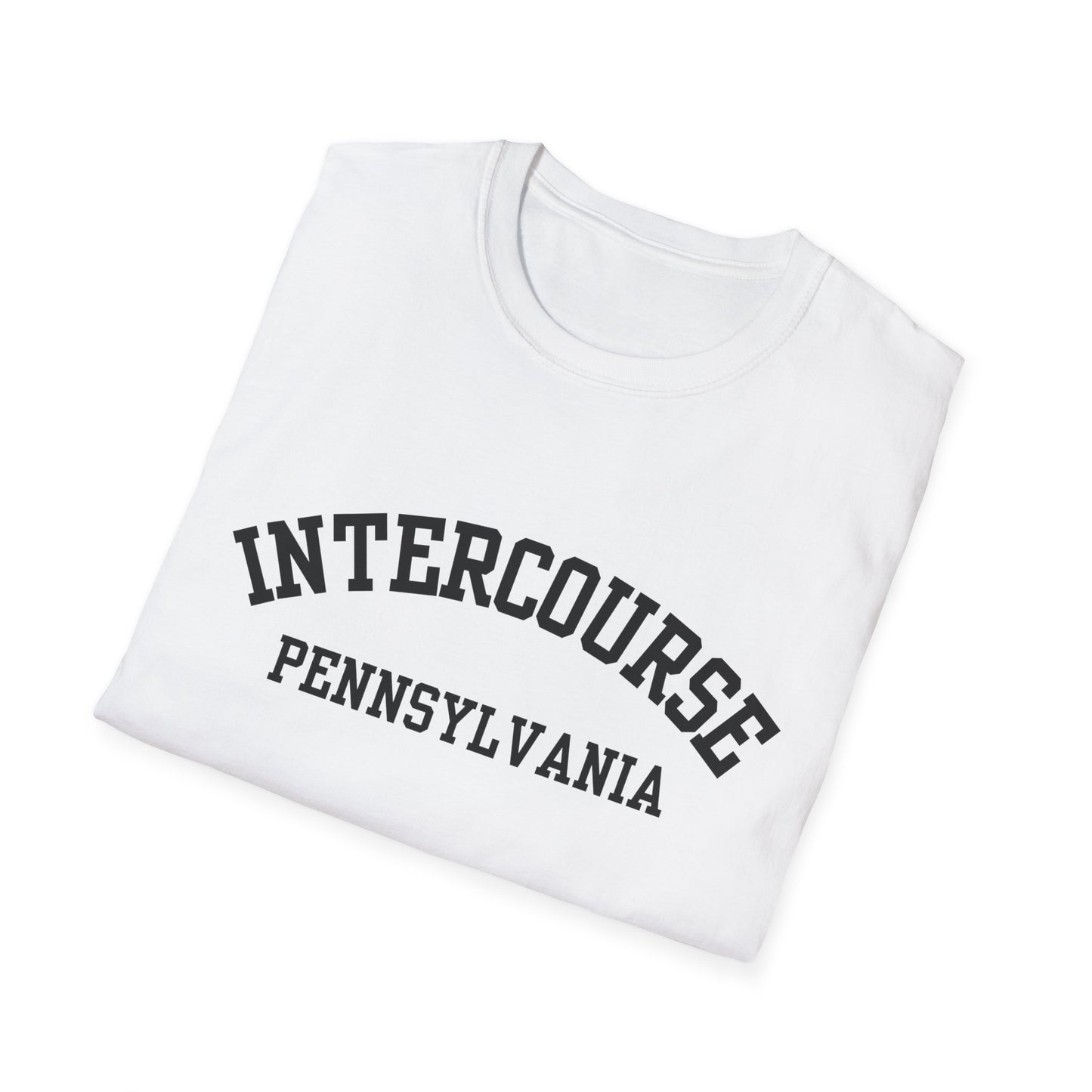 Intercourse Funny City Name T-Shirt novelty t-shirt for adults gift for travelers quirky town shirt funny city name shirt hometown pride shirt