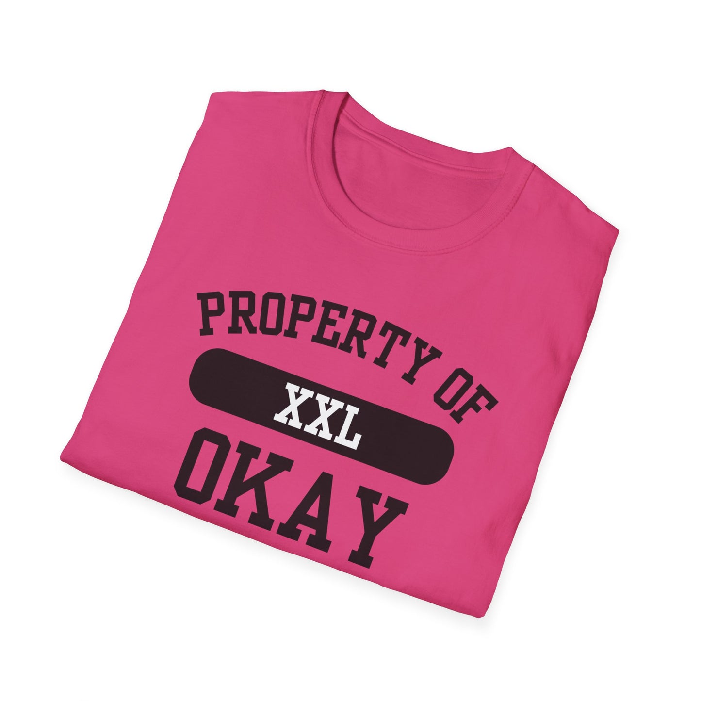 Okay Funny City Name T-Shirt unisex funny shirt sarcastic graphic tee road trip souvenir shirt retro city name shirt funny city name shirt