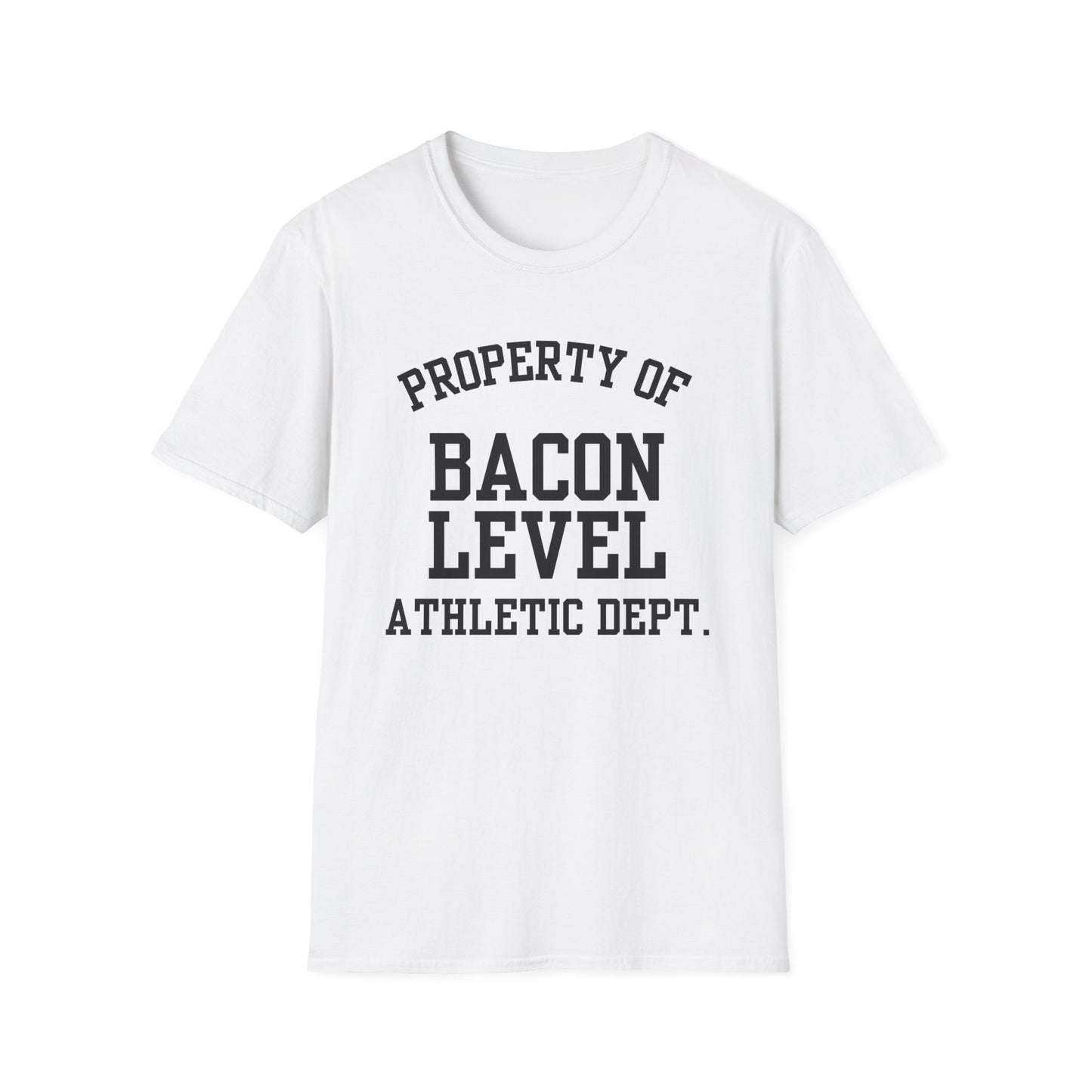 Bacon Level Funny City Name T-Shirt road trip souvenir shirt sarcastic graphic tee gift for travelers quirky town shirt custom city t-shirt