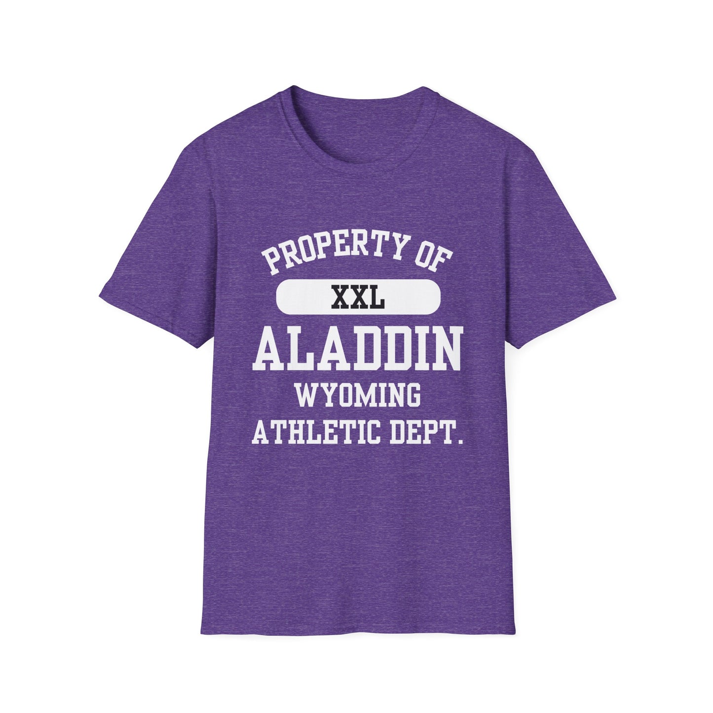 Aladdin Funny City Name T-Shirt ironic tee silly town tee quirky place tee sarcastic shirt travel gift tee funny city name custom city tee