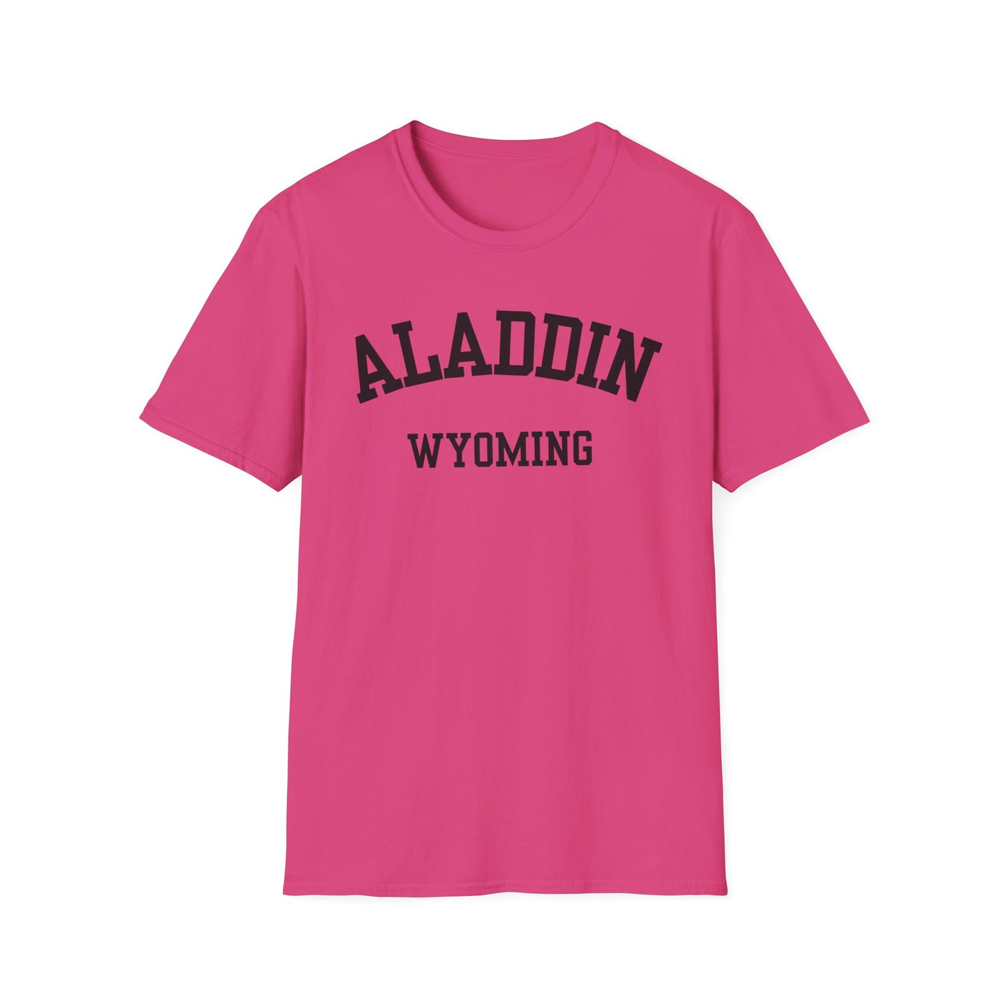 Aladdin Funny City Name T-Shirt custom city t-shirt sarcastic graphic tee novelty t-shirt for adults quirky town shirt unisex funny shirt