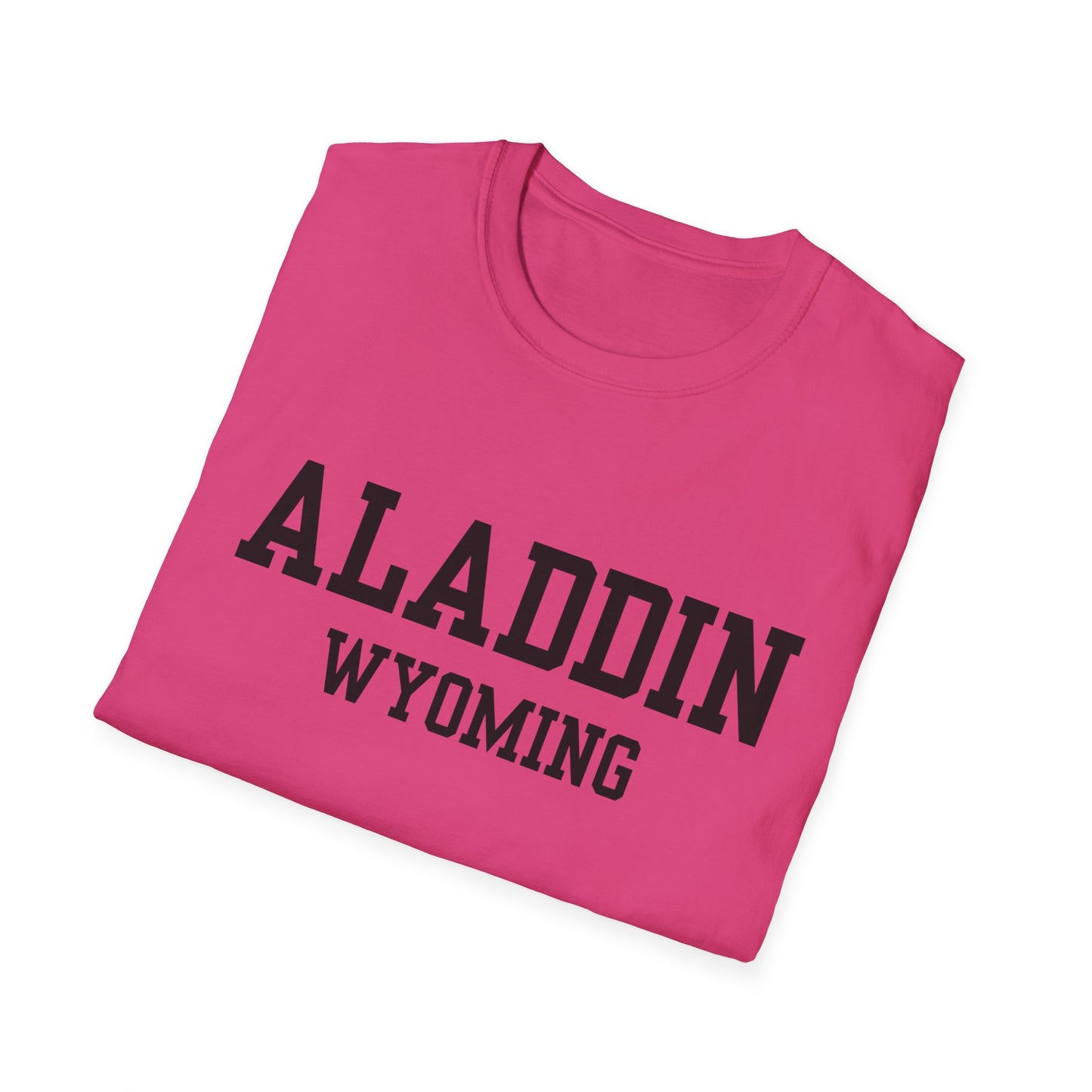 Aladdin Funny City Name T-Shirt gift for travelers unisex funny shirt novelty t-shirt for adults road trip souvenir shirt quirky town shirt