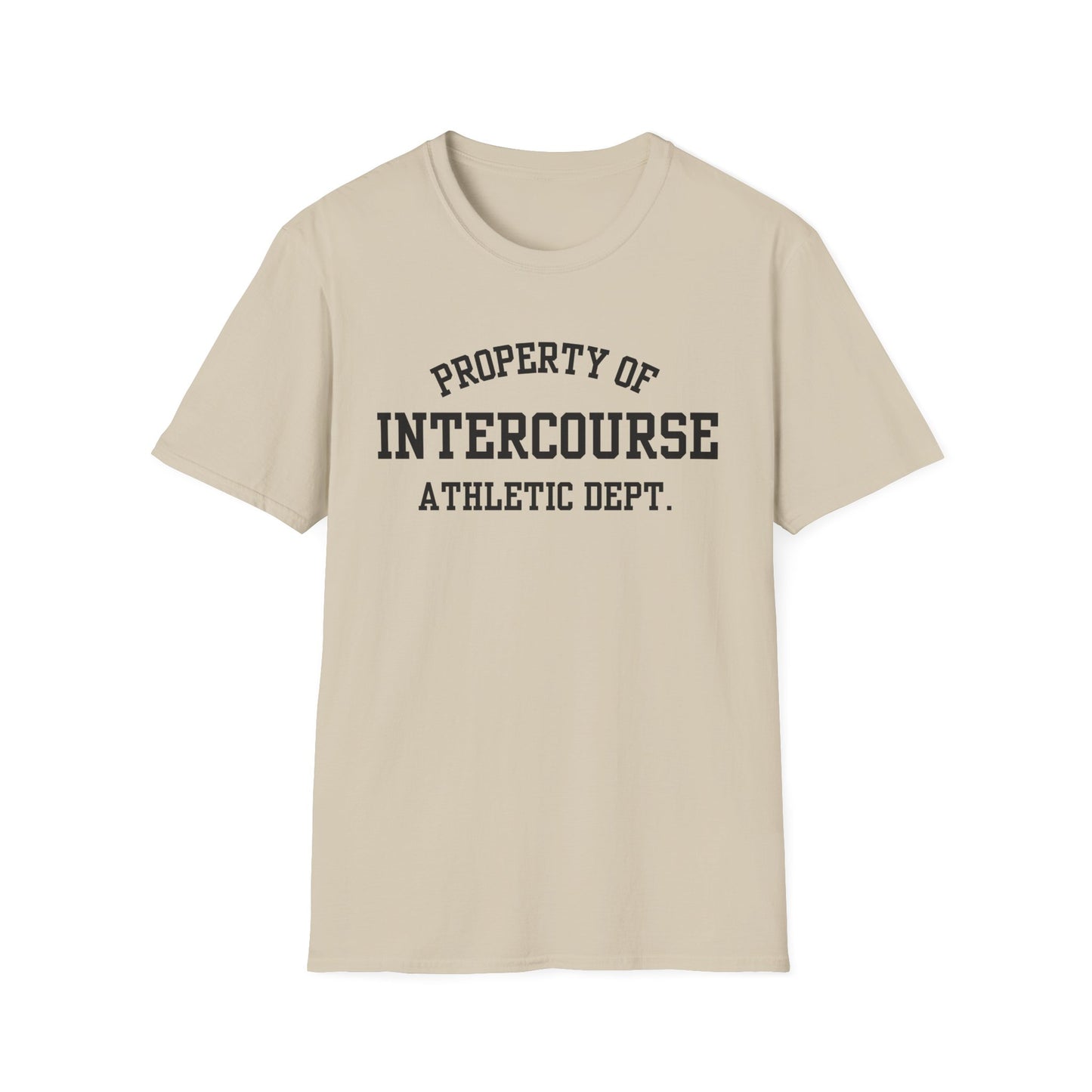 Intercourse Funny City Name T-Shirt sarcastic graphic tee hometown pride shirt retro city name shirt quirky town shirt gift for travelers