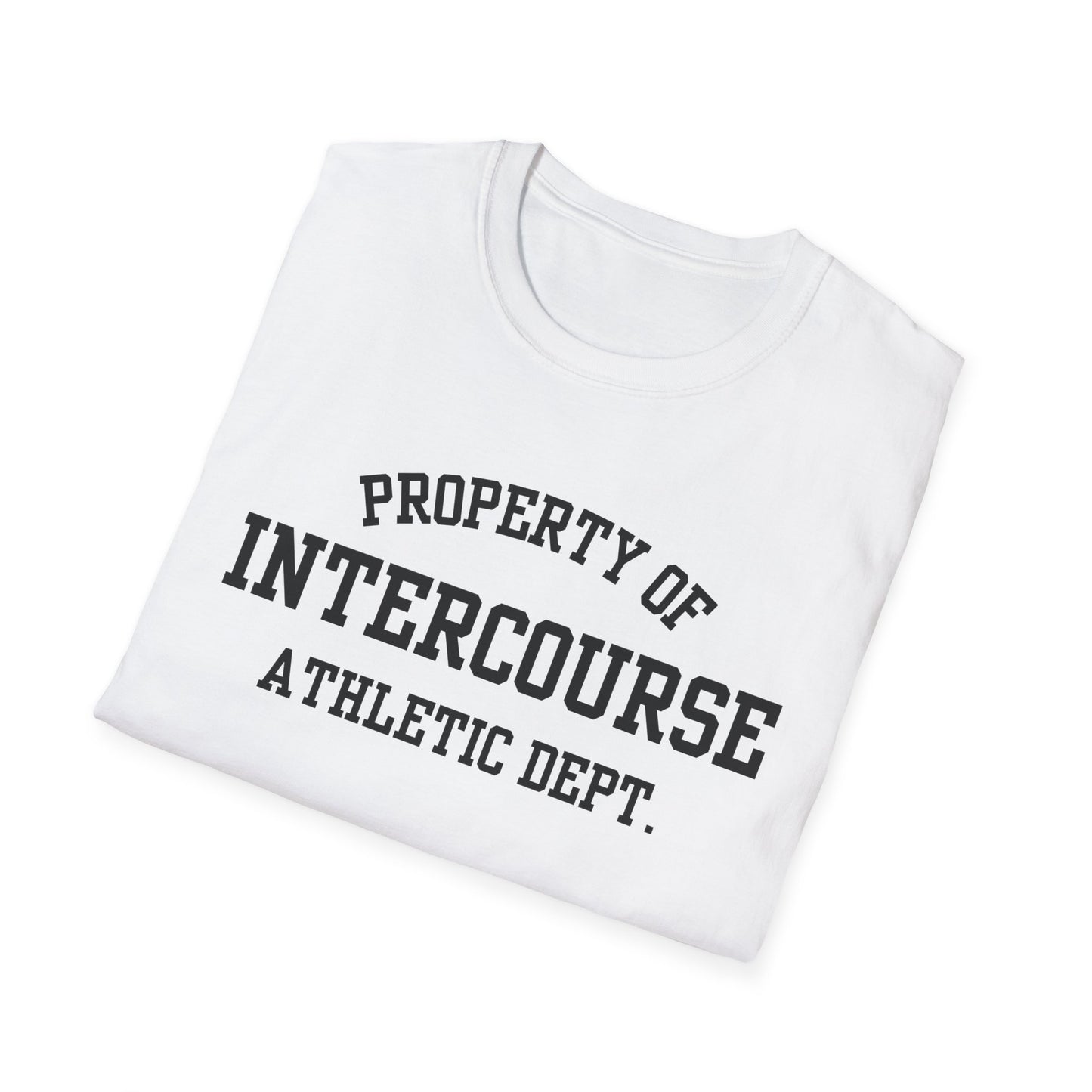 Intercourse Funny City Name T-Shirt sarcastic graphic tee hometown pride shirt retro city name shirt quirky town shirt gift for travelers