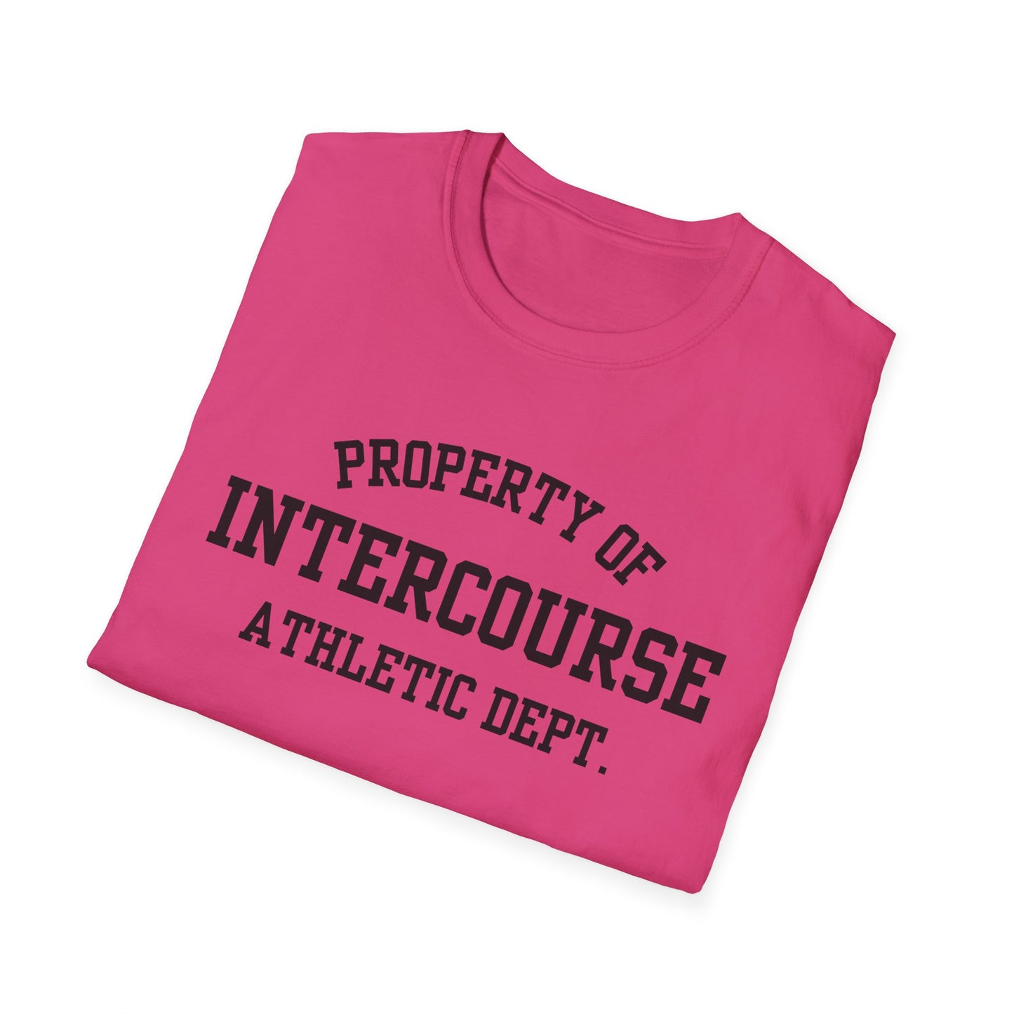 Intercourse Funny City Name T-Shirt sarcastic graphic tee hometown pride shirt retro city name shirt quirky town shirt gift for travelers
