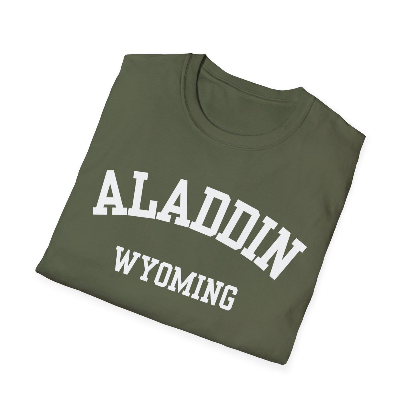 Aladdin Funny City Name T-Shirt weird town shirt silly town tee quirky place tee custom city tee sarcastic shirt travel gift tee