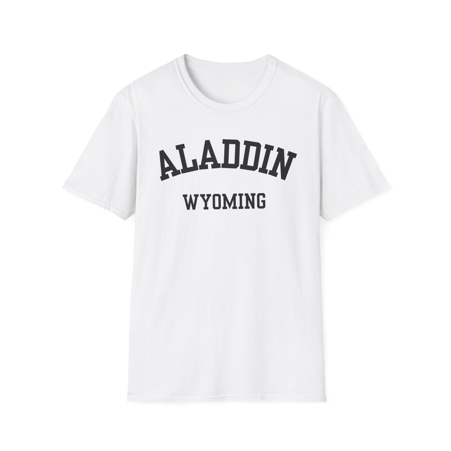 Aladdin Funny City Name T-Shirt custom city t-shirt sarcastic graphic tee novelty t-shirt for adults quirky town shirt unisex funny shirt