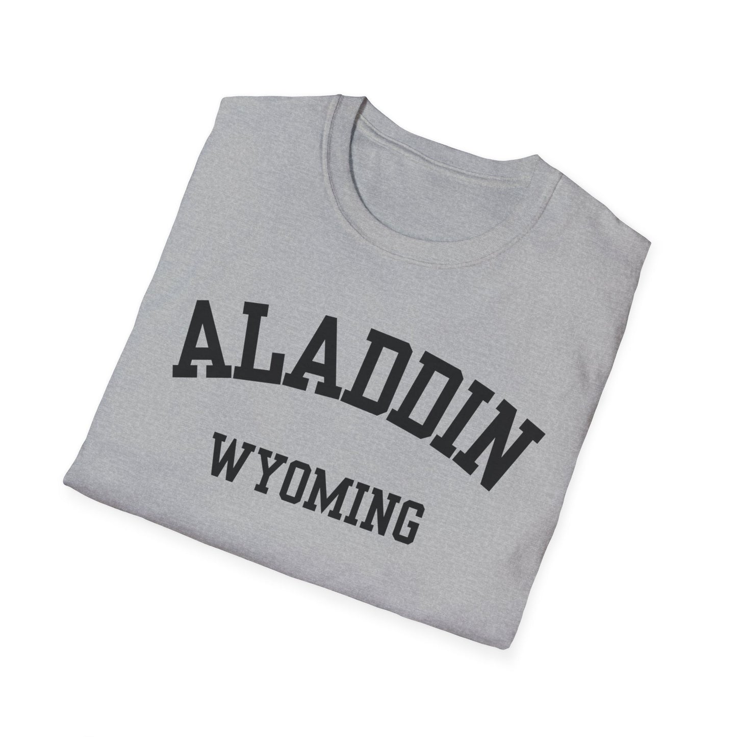 Aladdin Funny City Name T-Shirt custom city t-shirt sarcastic graphic tee novelty t-shirt for adults quirky town shirt unisex funny shirt