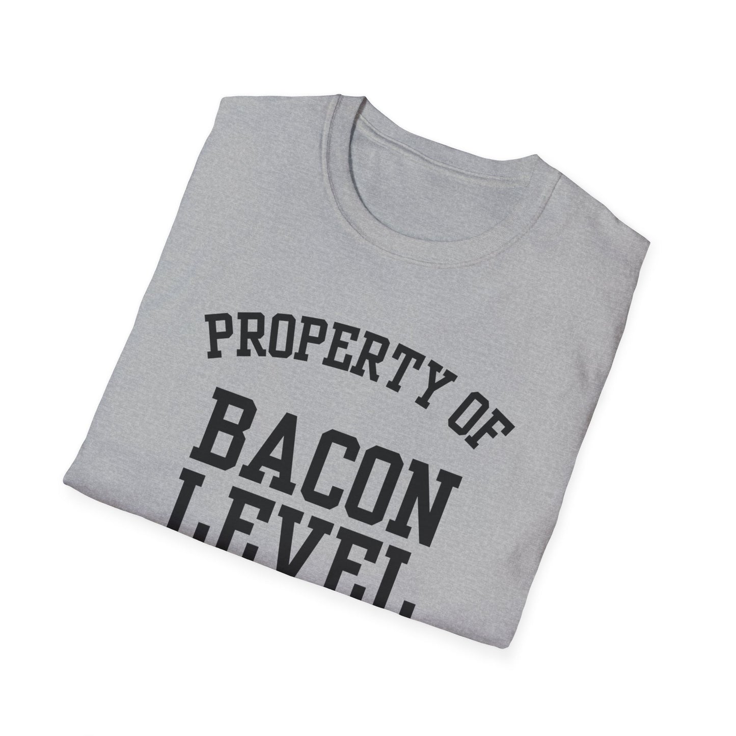 Bacon Level Funny City Name T-Shirt road trip souvenir shirt sarcastic graphic tee gift for travelers quirky town shirt custom city t-shirt