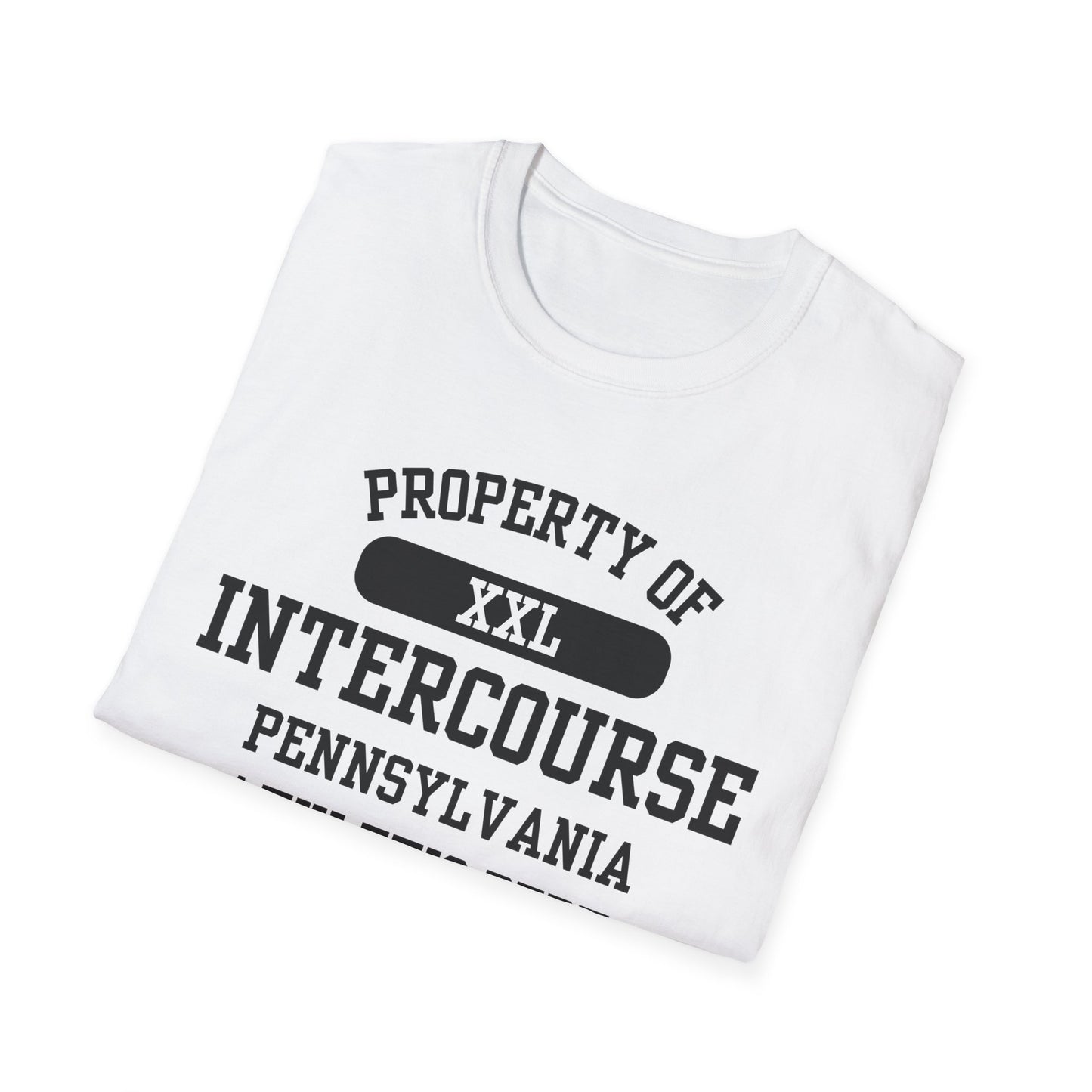 Intercourse Funny City Name T-Shirt sarcastic shirt funny city name local pride tee travel gift tee weird town shirt small town gift