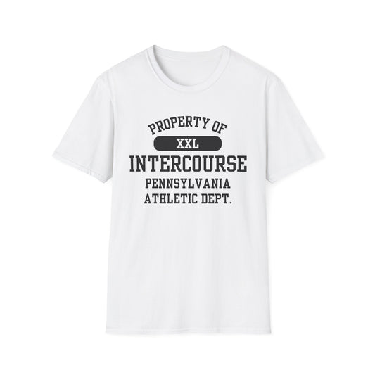 Intercourse Funny City Name T-Shirt sarcastic shirt funny city name local pride tee travel gift tee weird town shirt small town gift