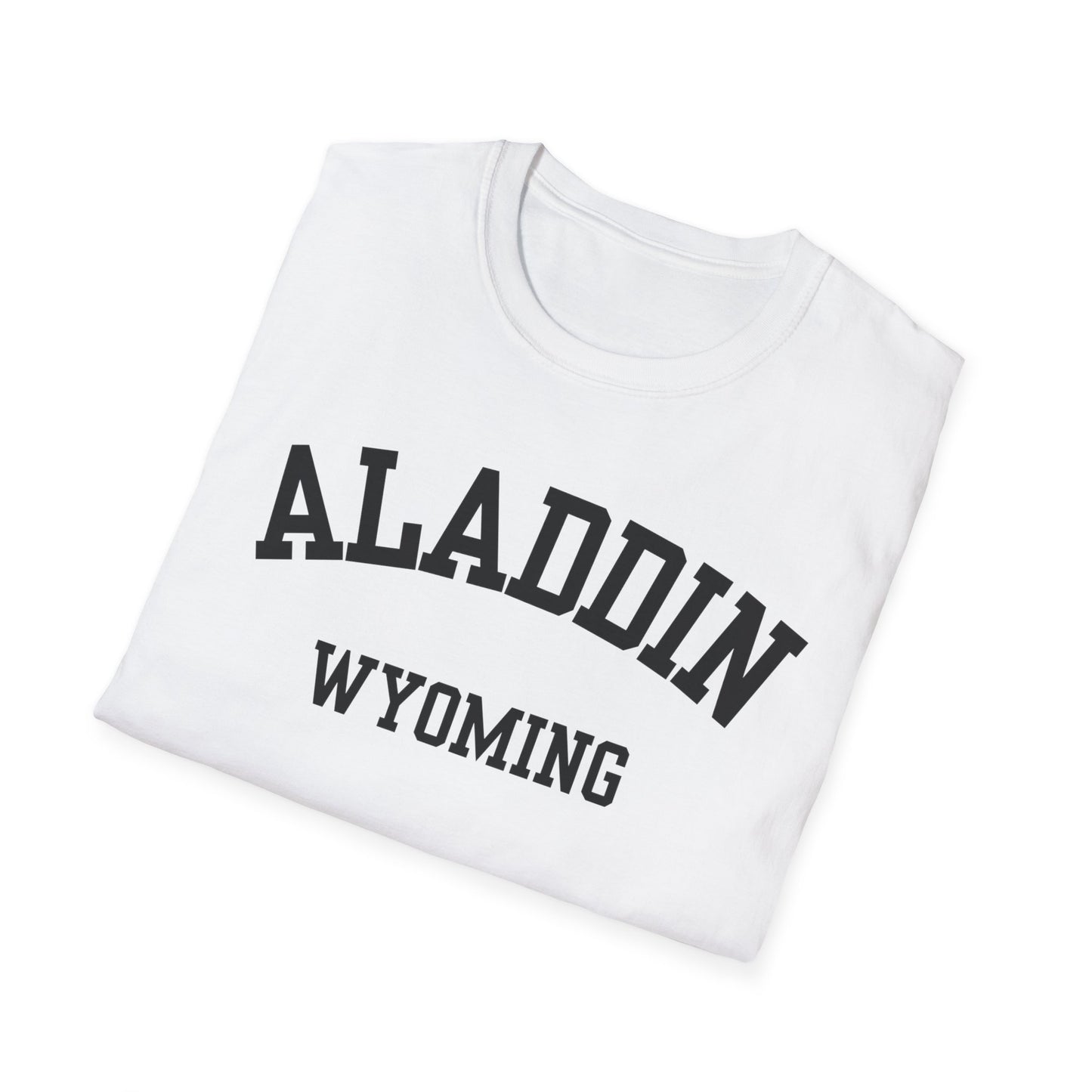 Aladdin Funny City Name T-Shirt custom city t-shirt sarcastic graphic tee novelty t-shirt for adults quirky town shirt unisex funny shirt