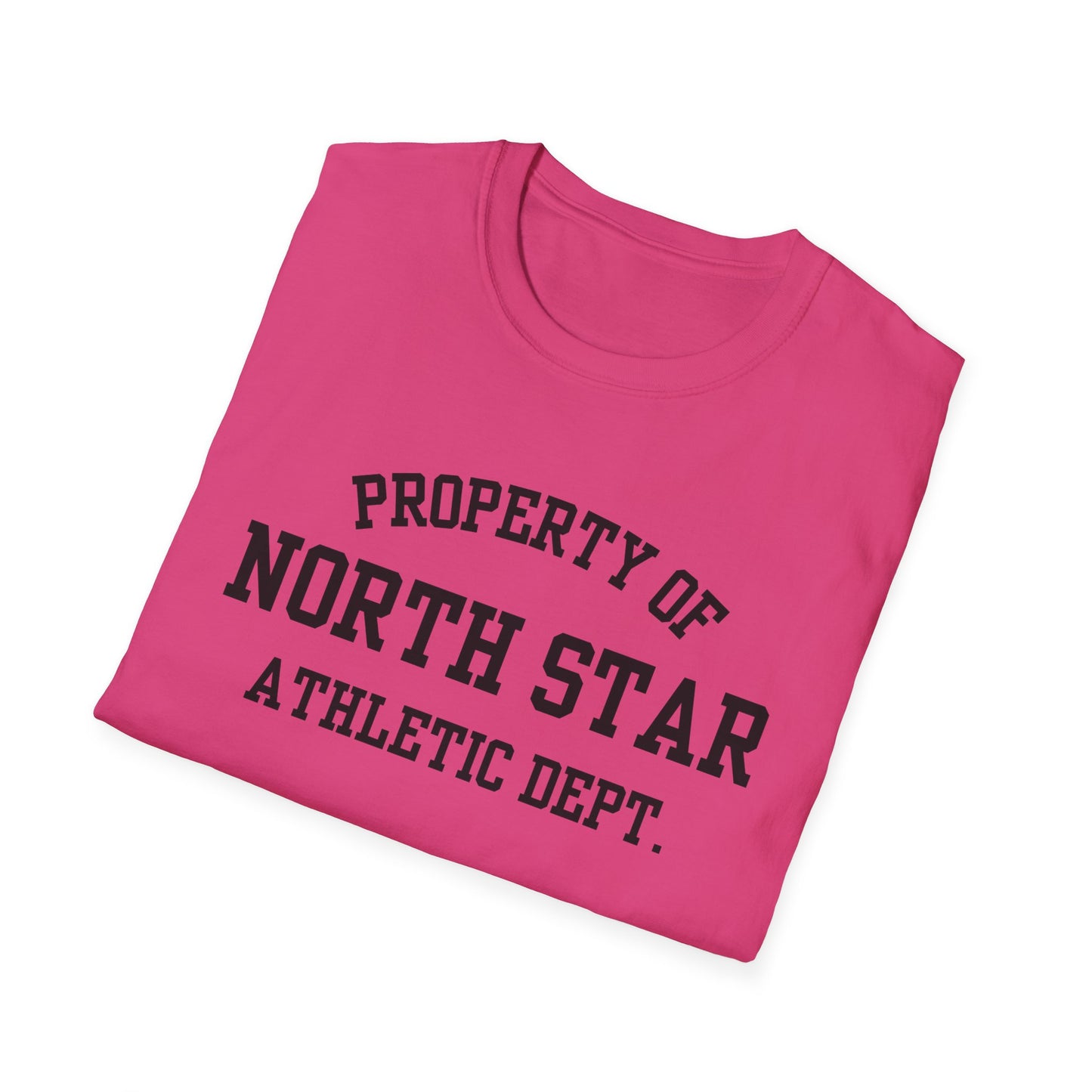 North Star Funny City Name T-Shirt quirky town shirt road trip souvenir shirt novelty t-shirt for adults sarcastic graphic tee gift for travelers