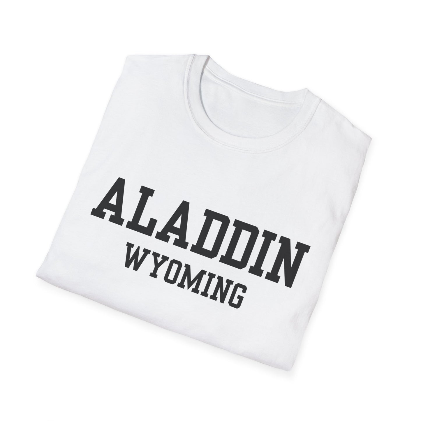 Aladdin Funny City Name T-Shirt gift for travelers unisex funny shirt novelty t-shirt for adults road trip souvenir shirt quirky town shirt