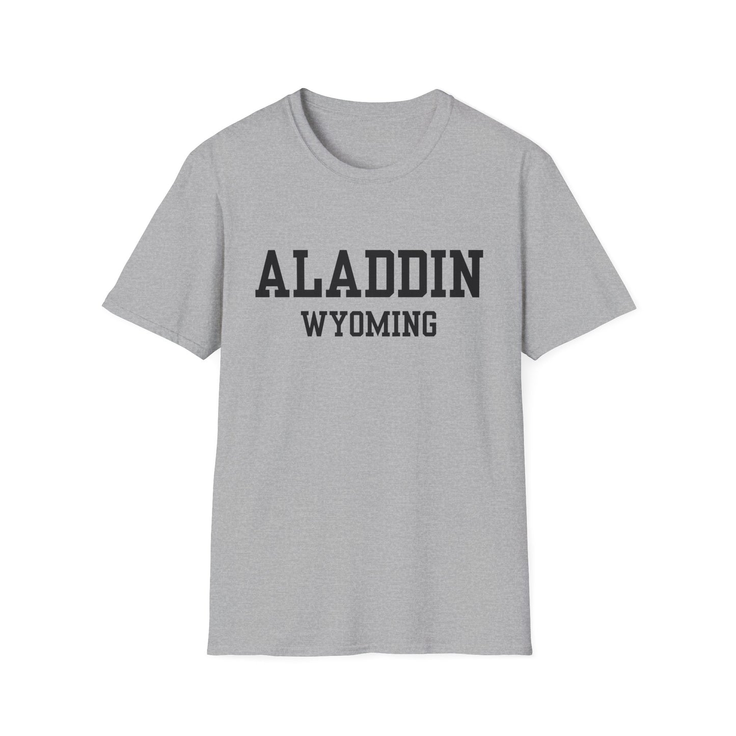 Aladdin Funny City Name T-Shirt gift for travelers unisex funny shirt novelty t-shirt for adults road trip souvenir shirt quirky town shirt