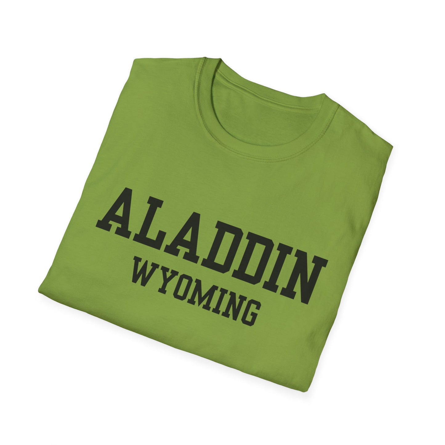 Aladdin Funny City Name T-Shirt gift for travelers unisex funny shirt novelty t-shirt for adults road trip souvenir shirt quirky town shirt